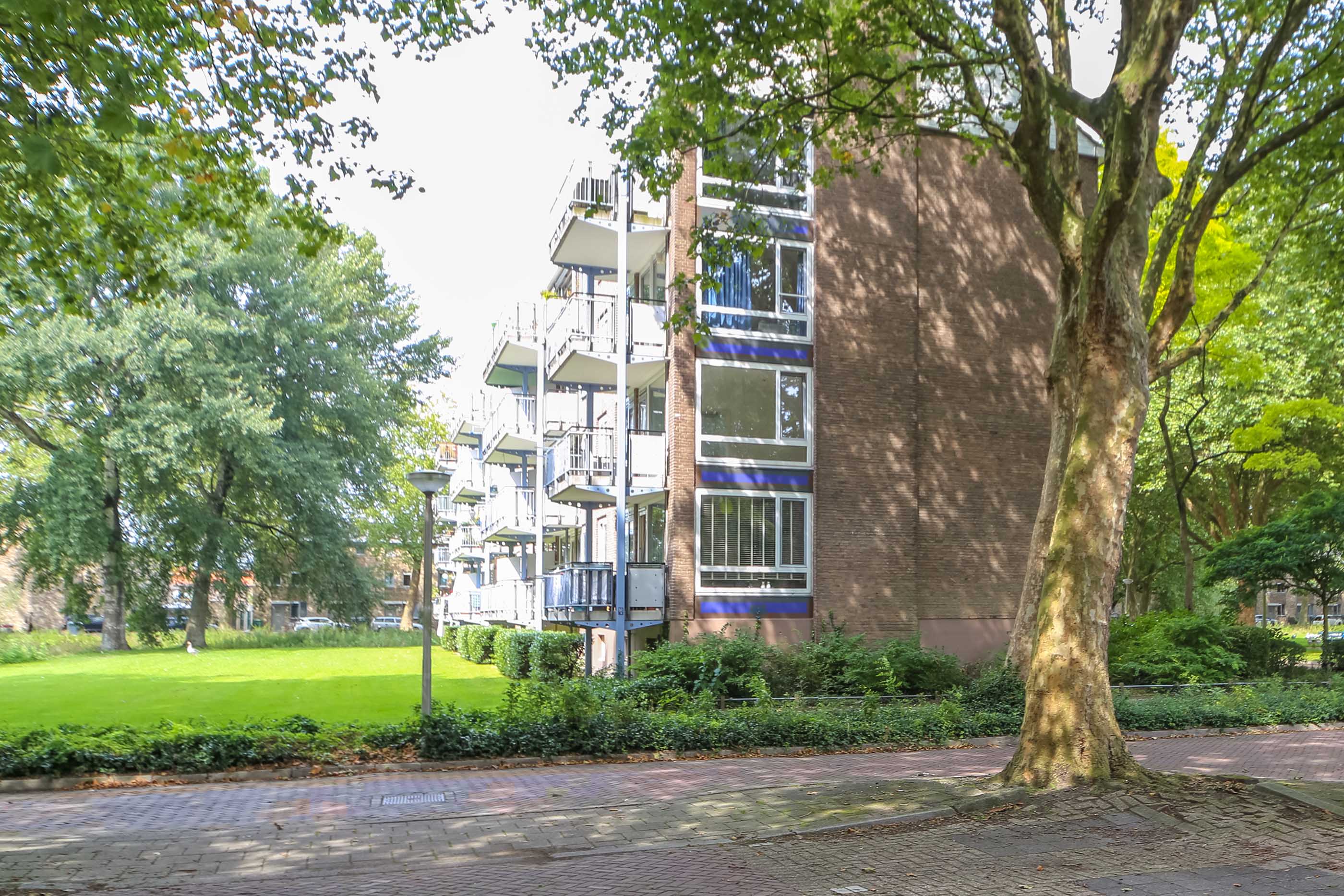 Professor Evertslaan 169