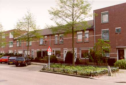 Barietgeel 59
