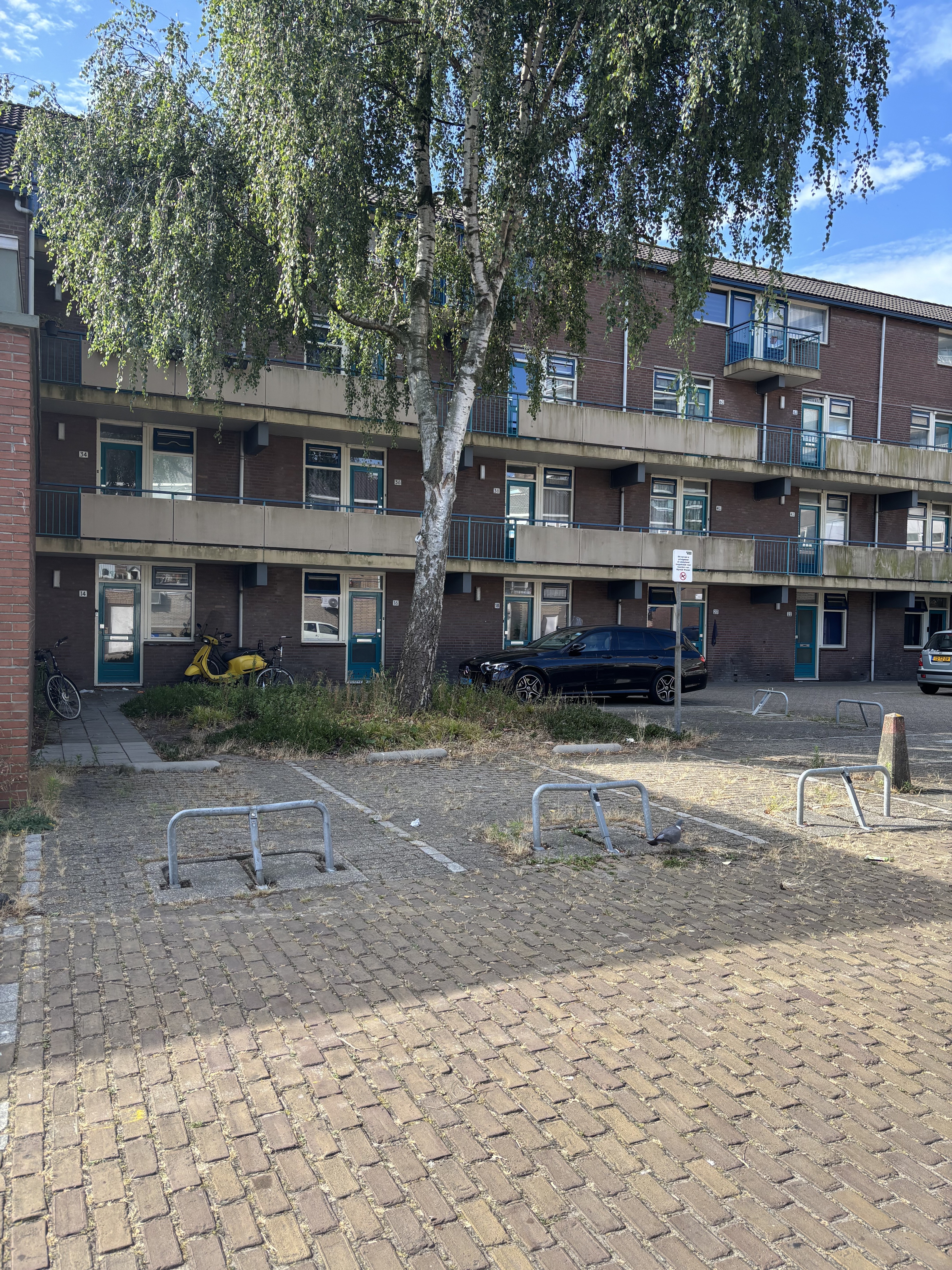 Buziaulaan 56