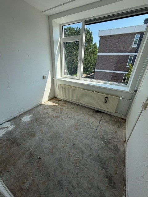 Plantenoord 60