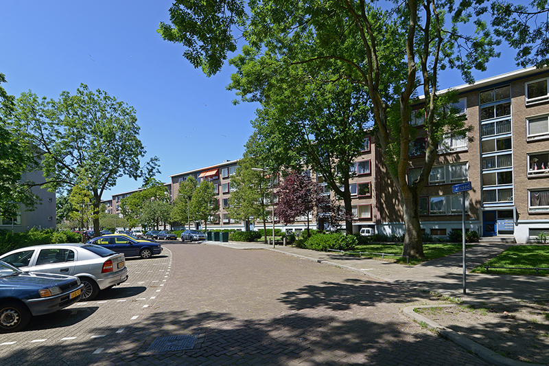 Catharinaland 86