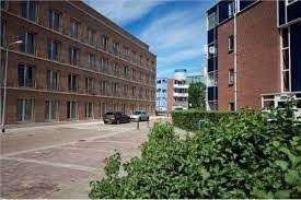 Hendrick Hamelplantsoen 124, Den Haag