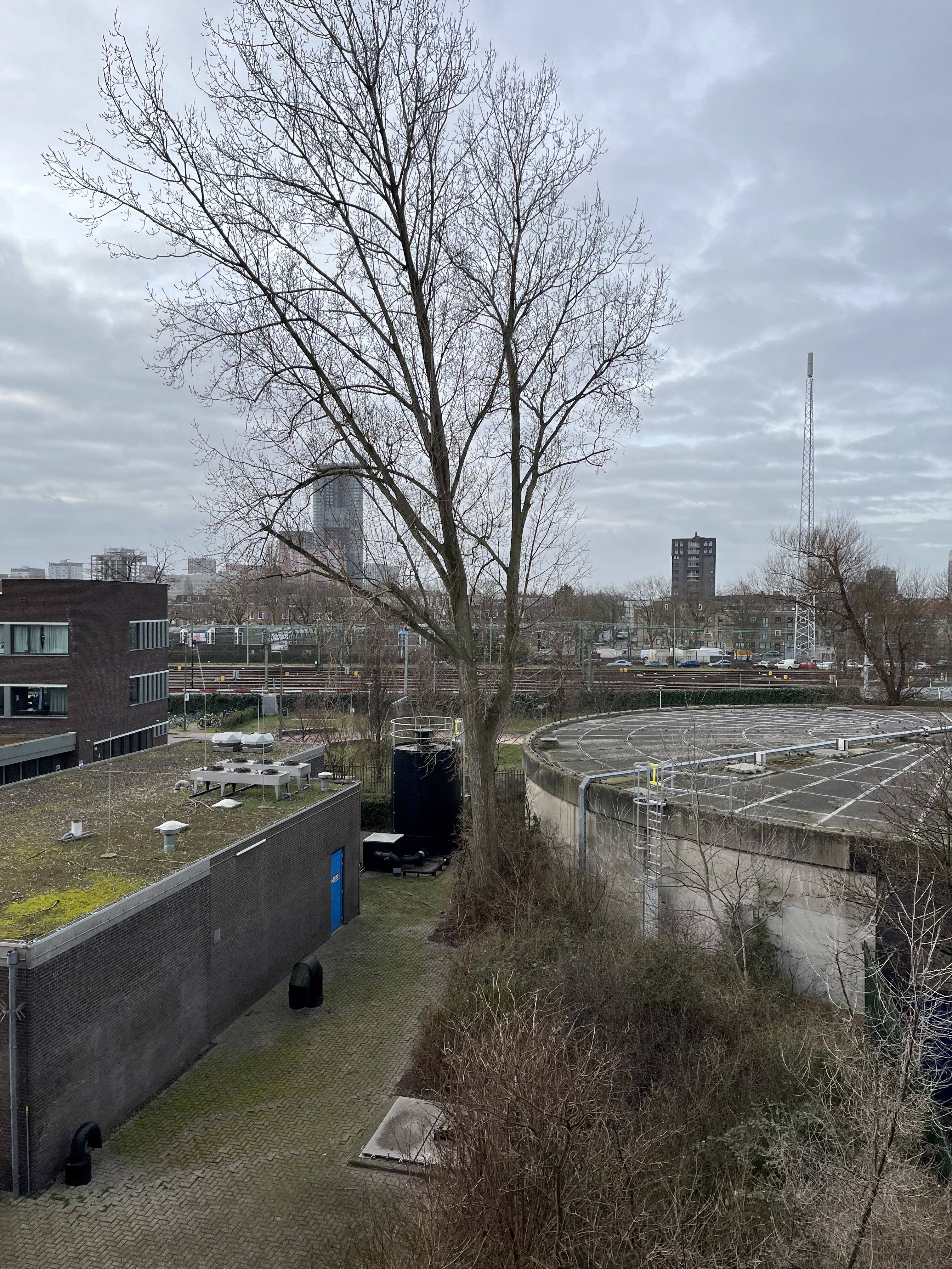 Hendrick Hamelplantsoen 26