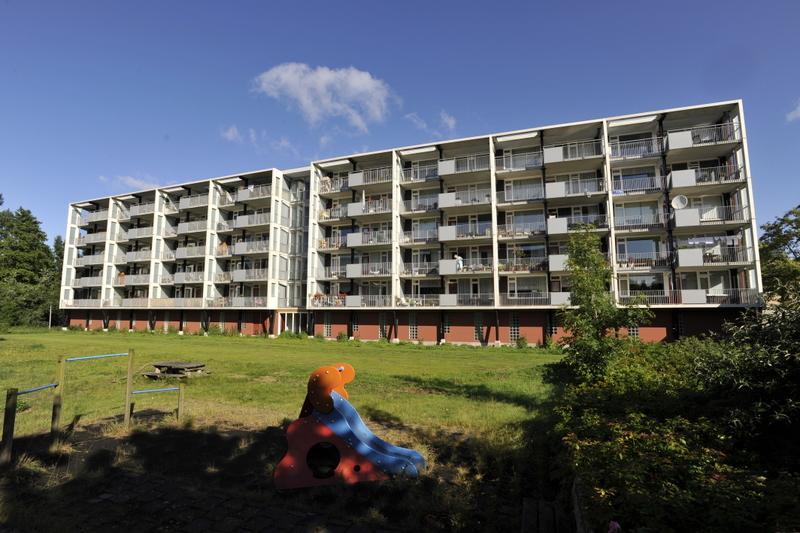 De Savornin Lohmanlaan 8, 2641 WP Pijnacker, Nederland