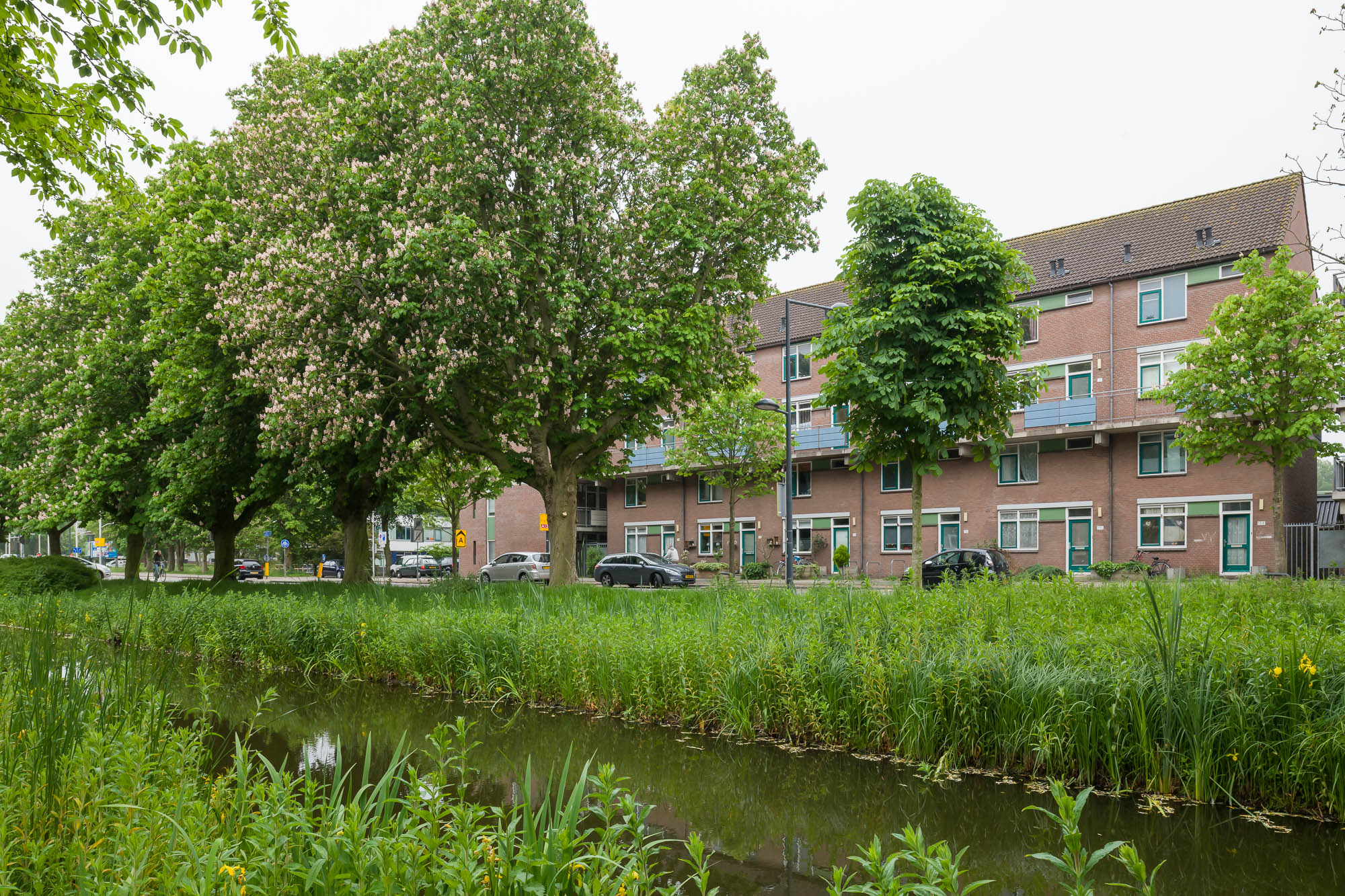 Krakeelpolderweg 116