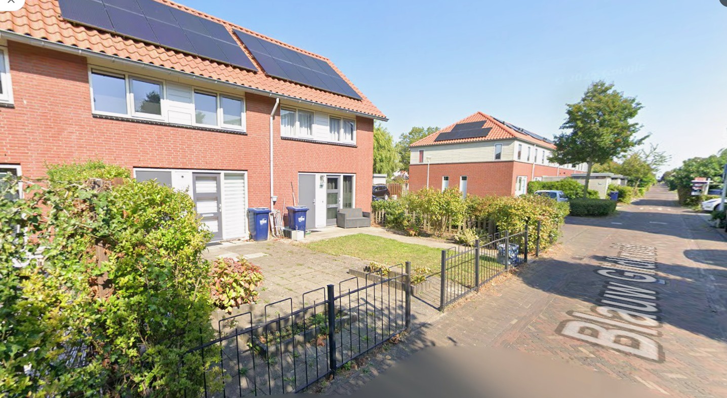 Blauw Glidkruid 17, Den Haag