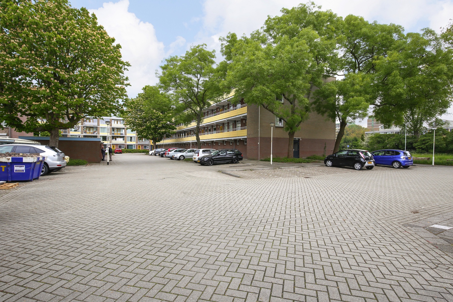 Ameland 25