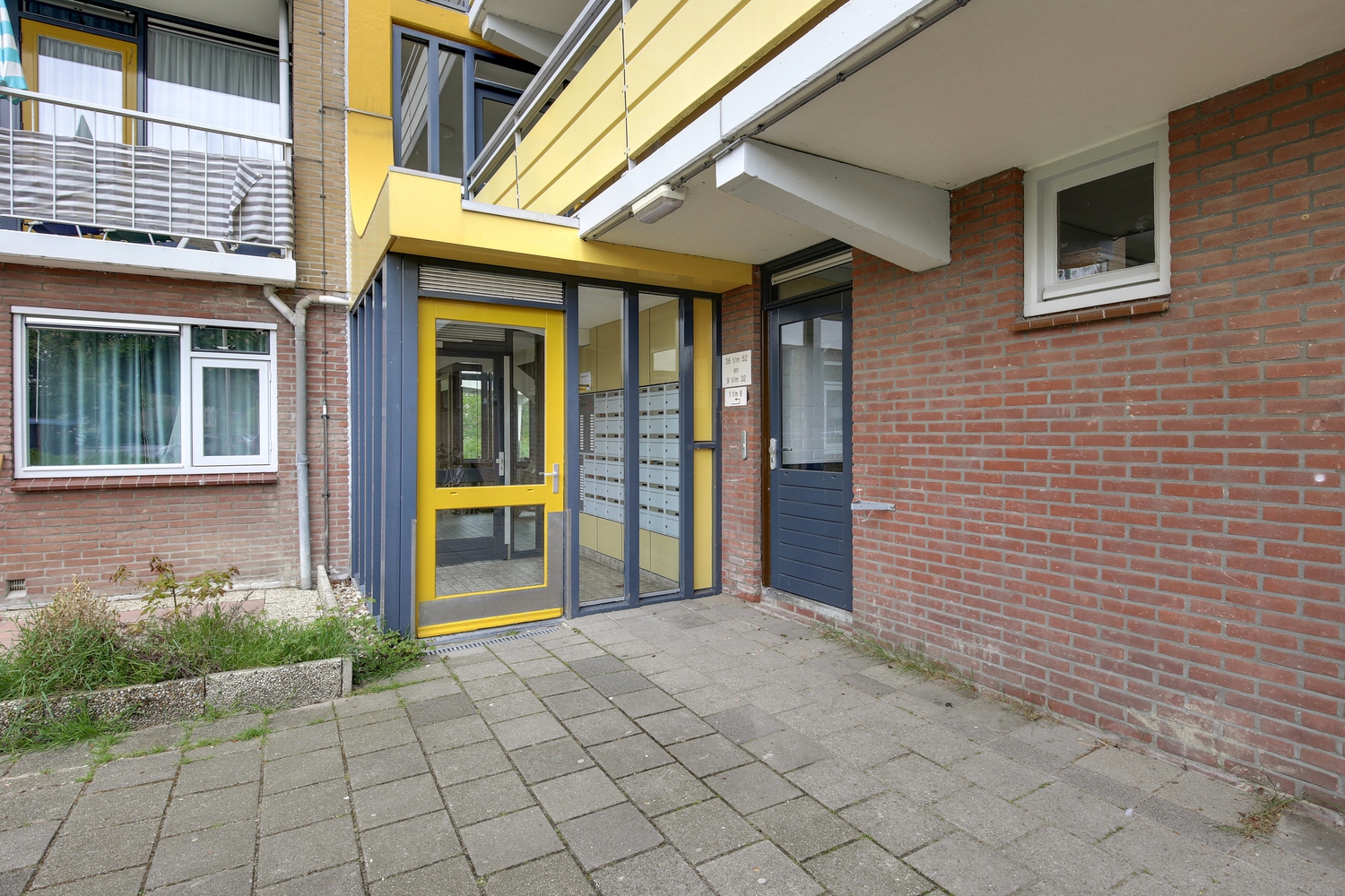 Ameland 25