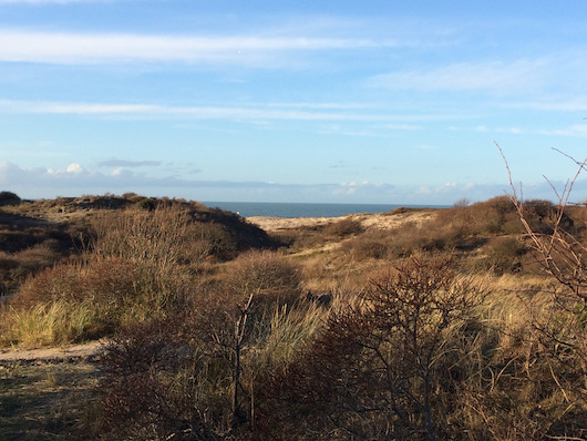 Breezandstraat 152