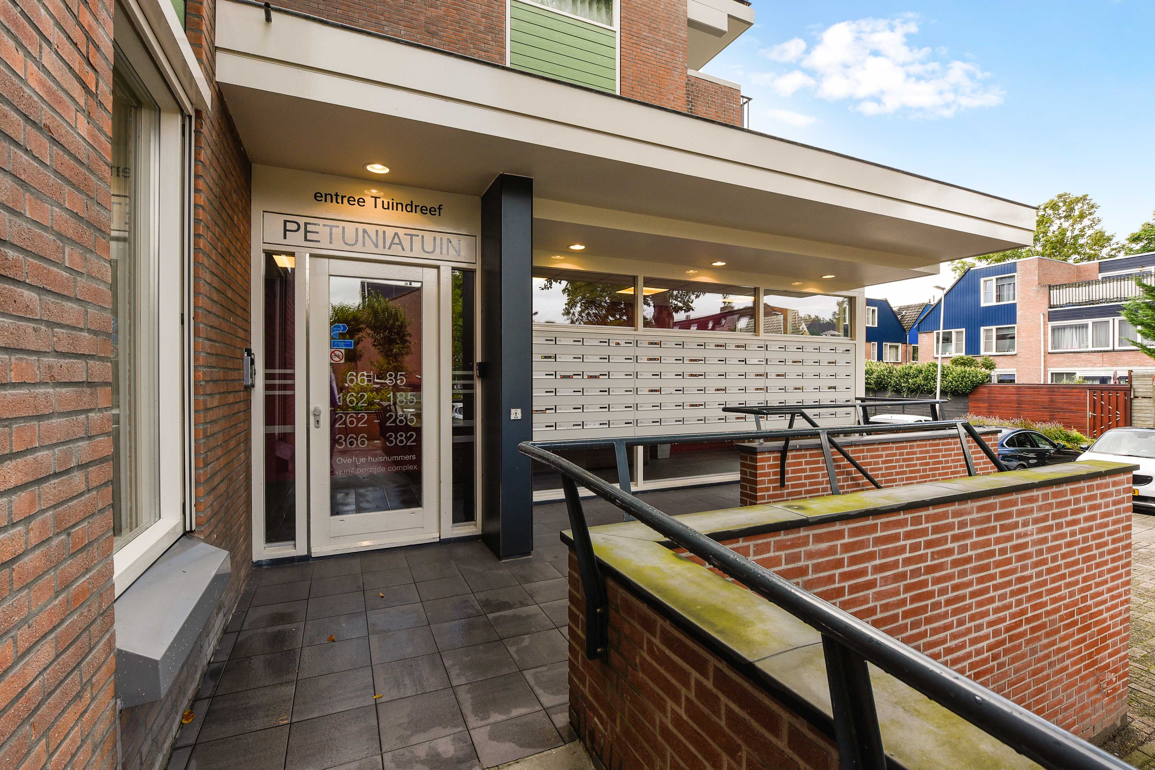 Petuniatuin 366
