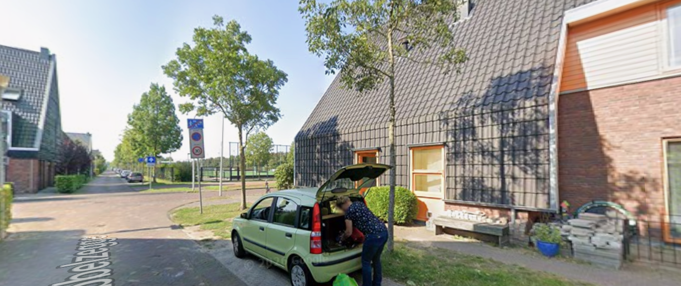 Ribbelzegge 2