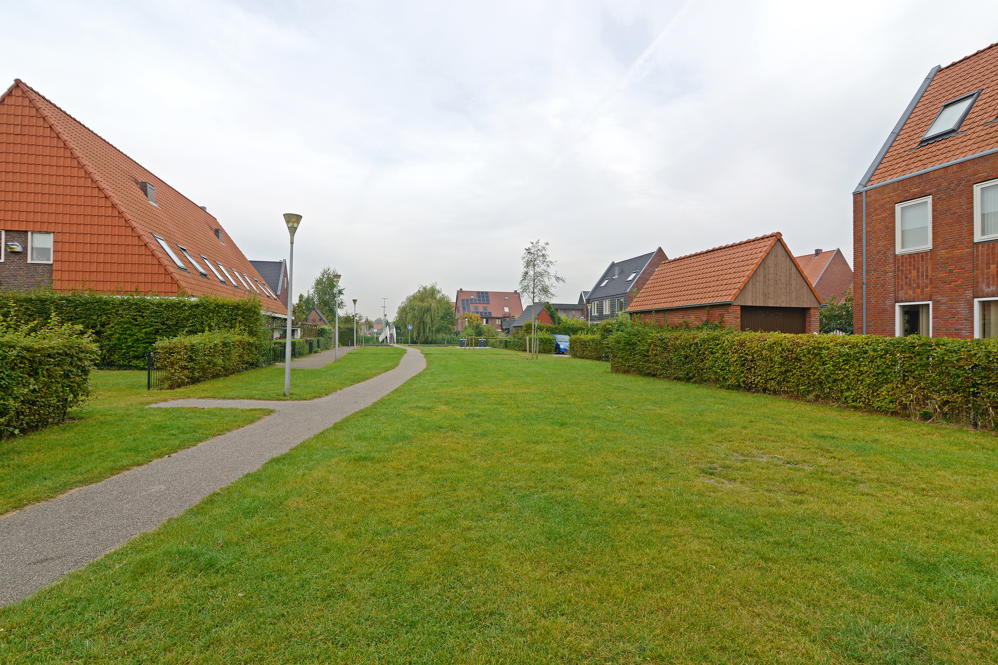 Ribbelzegge 2