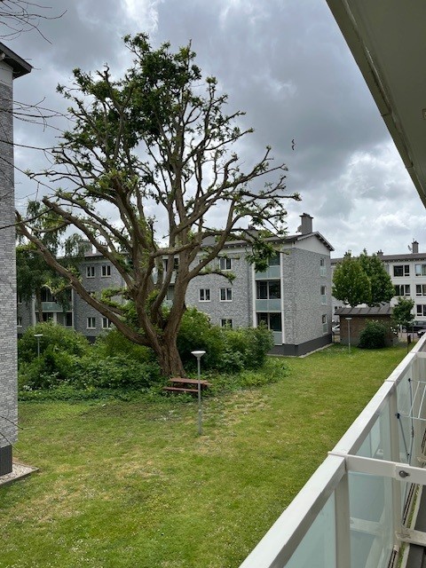 Coornhertstraat 40, 2531 VC Den Haag, Nederland