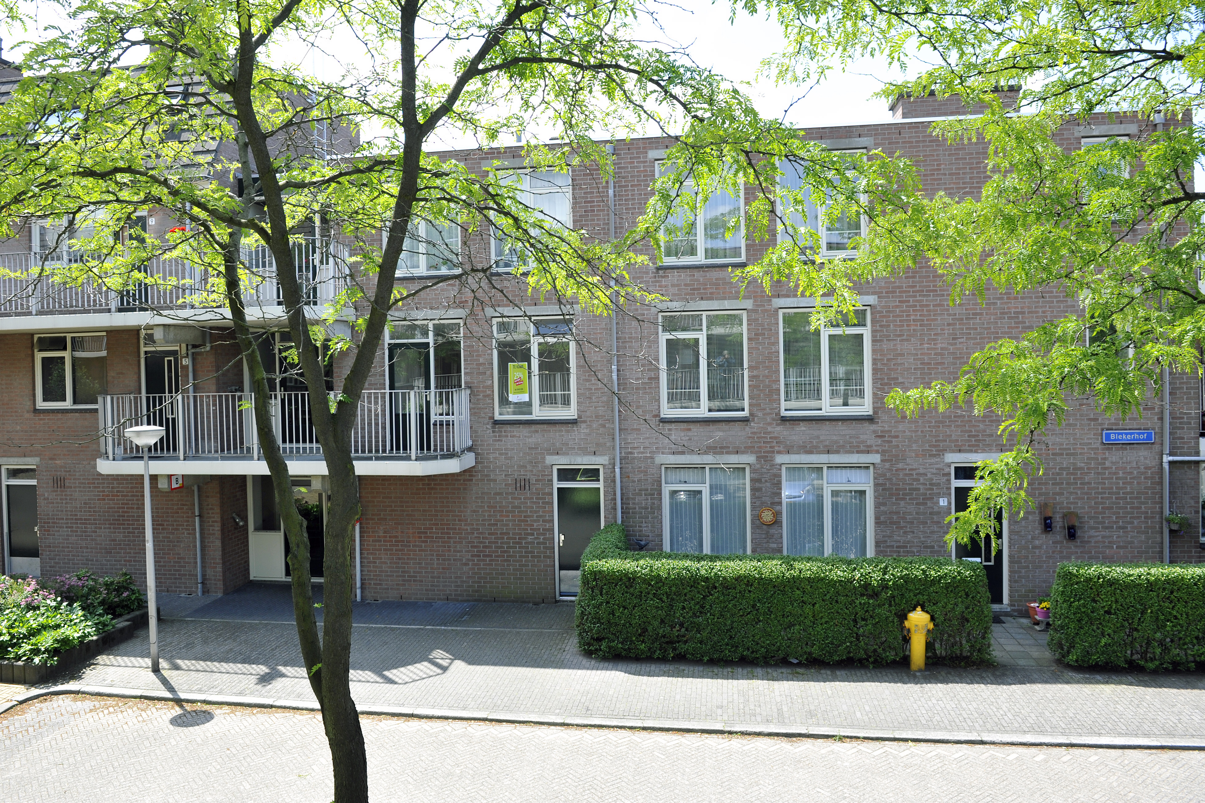Blekerhof 41