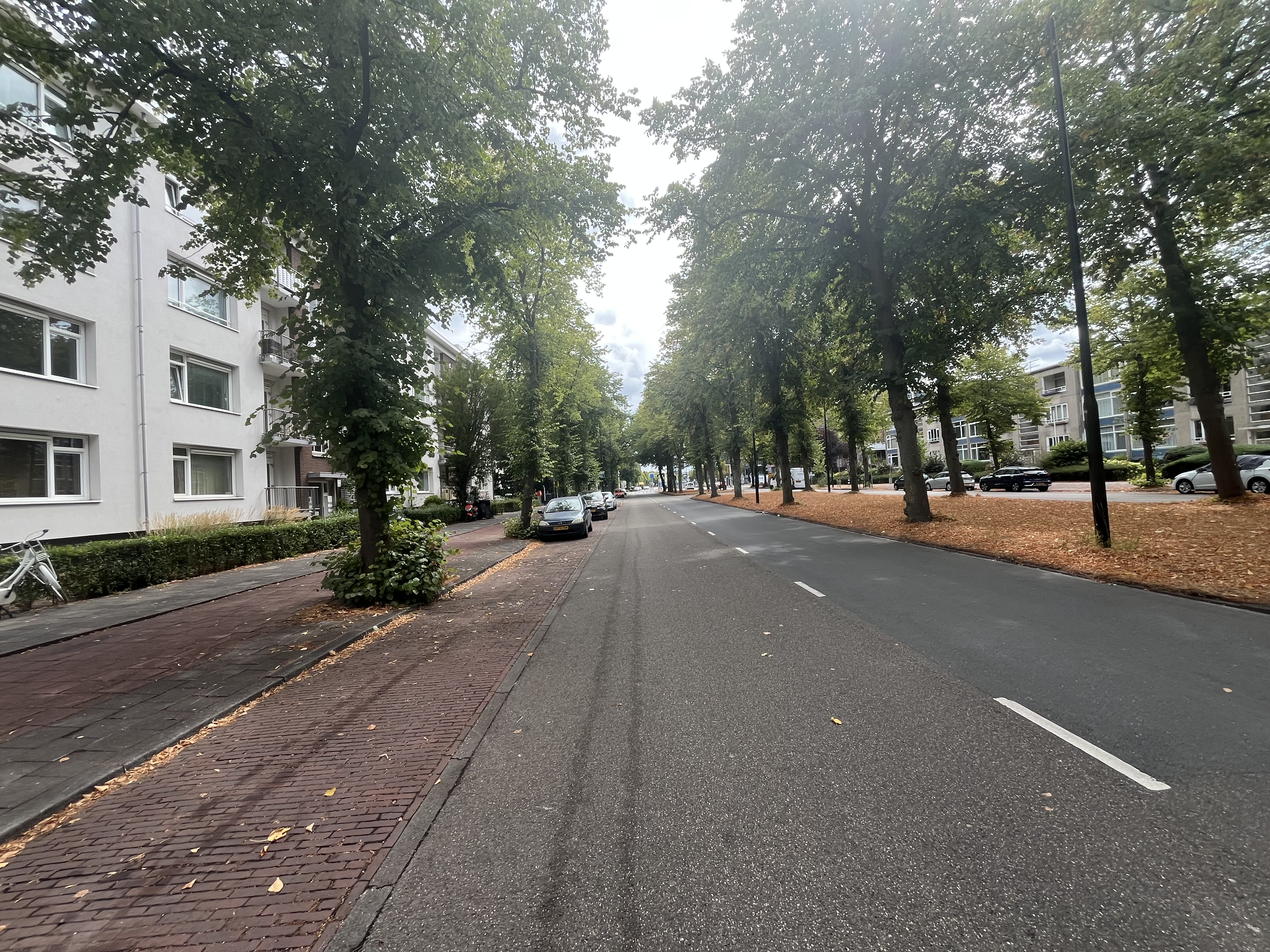 Huis te Landelaan 155