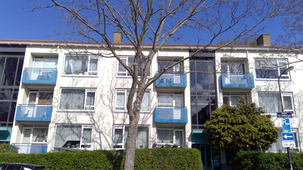 Henri ter Hallsingel 38 Rijswijk ZH