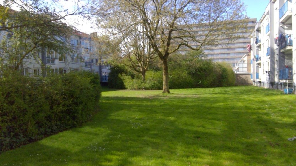 Henri Ter Hallsingel 38