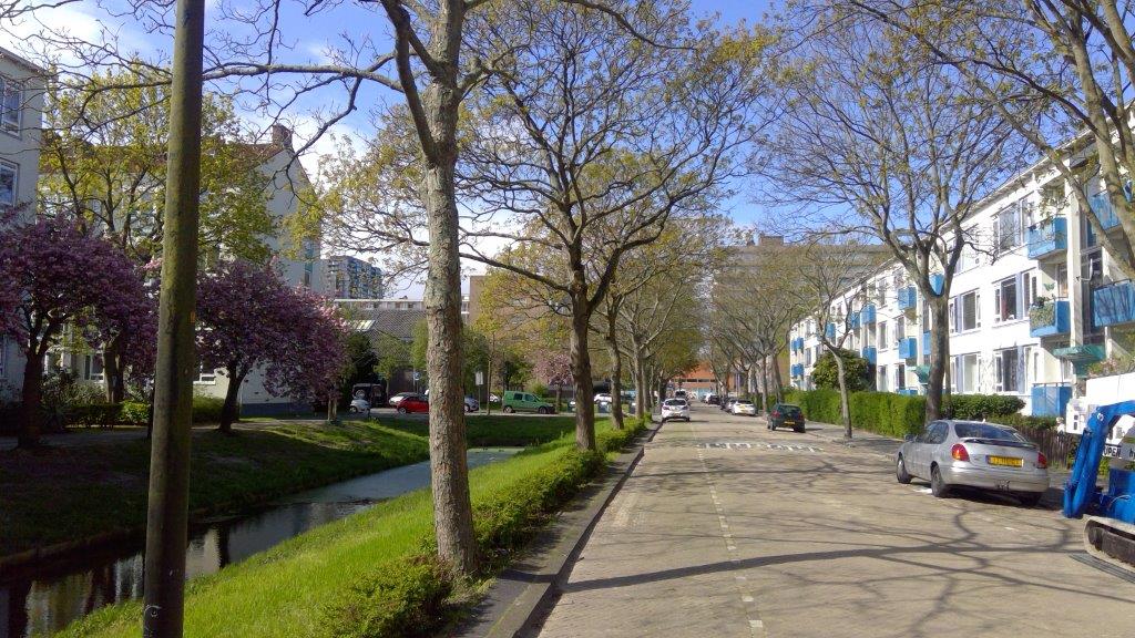 Henri Ter Hallsingel 38