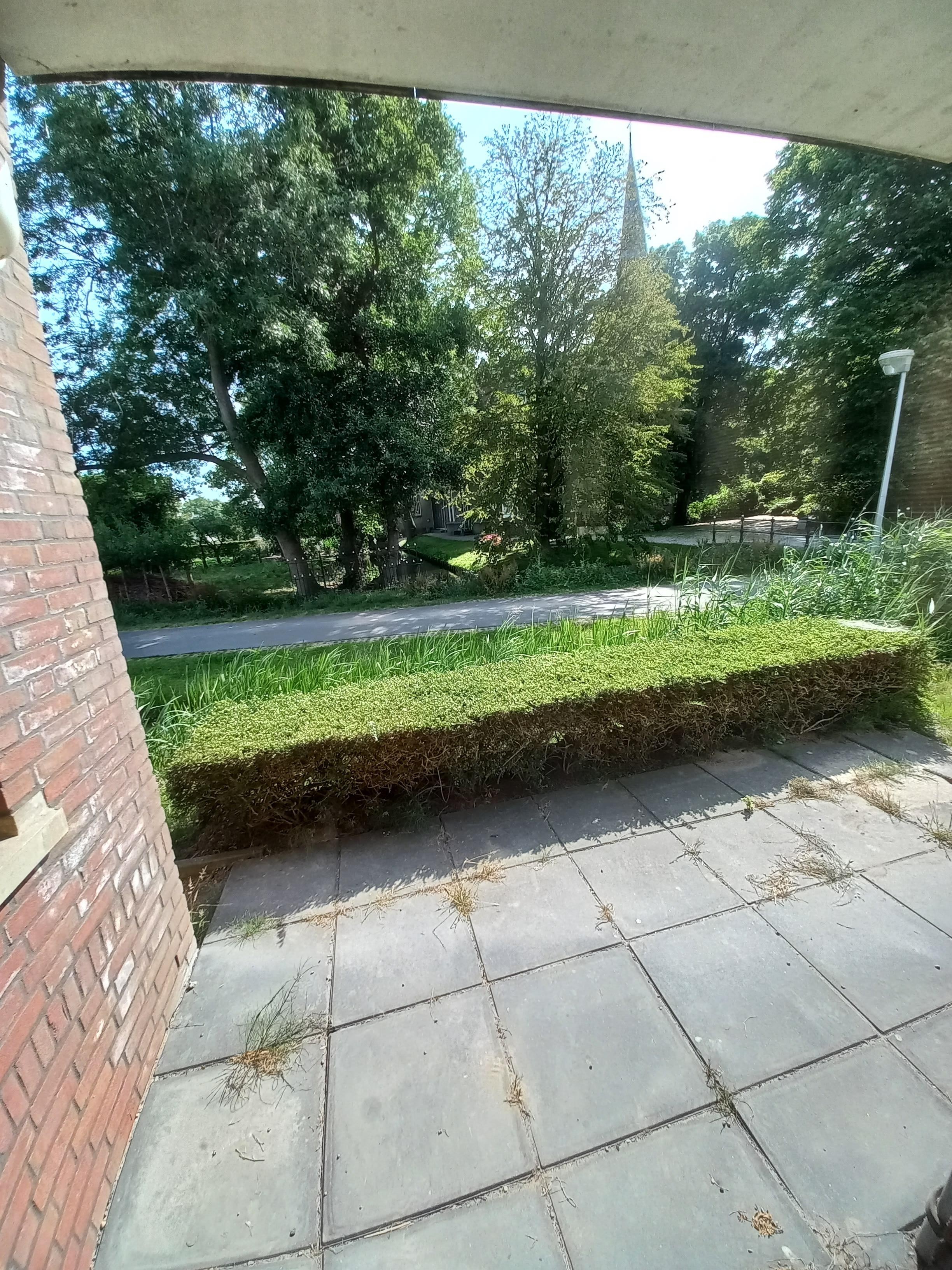 Hofsingel 54