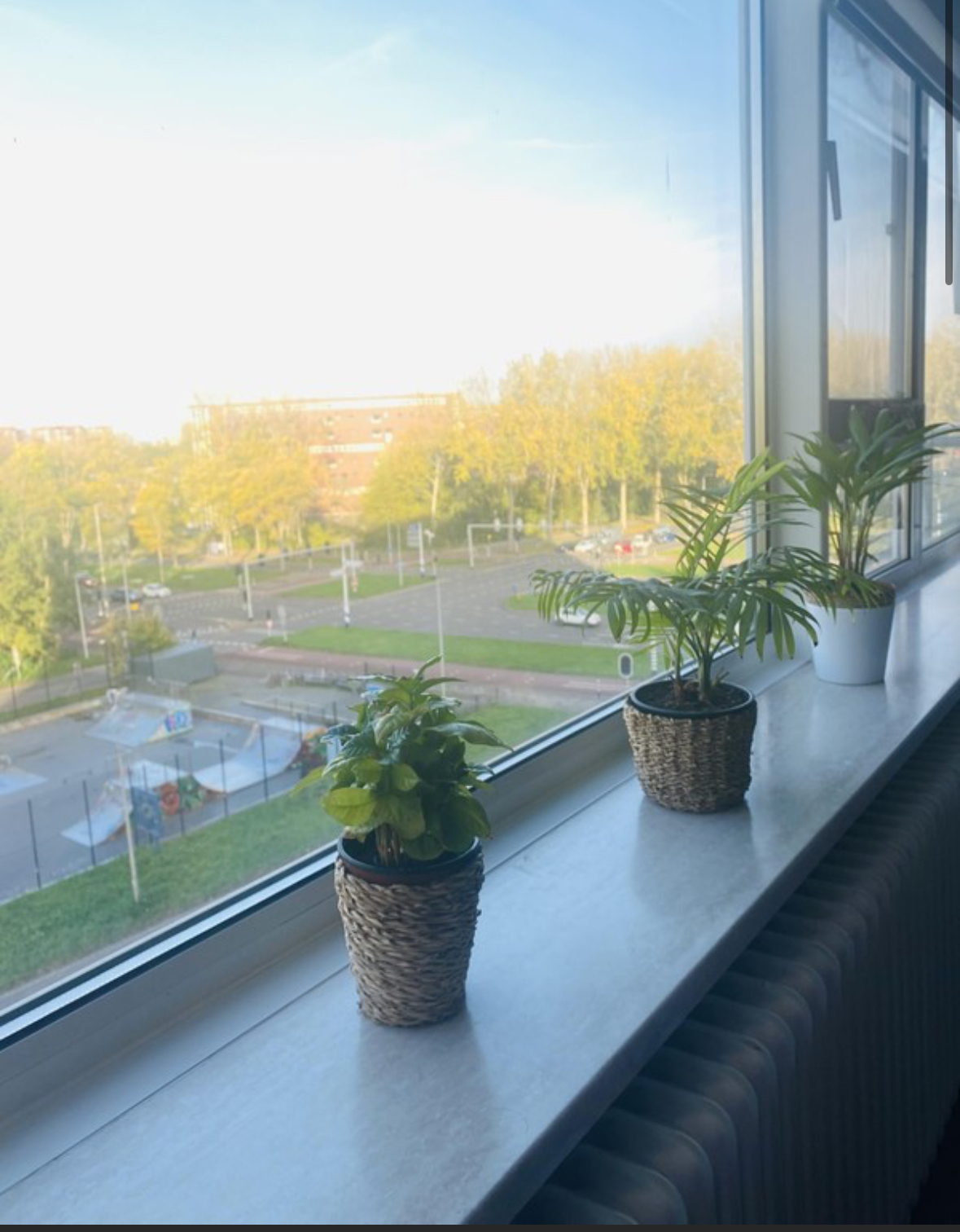 Poptahof Noord 395, 2624 RZ Delft, Nederland