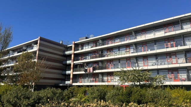 Valckesteyn 29