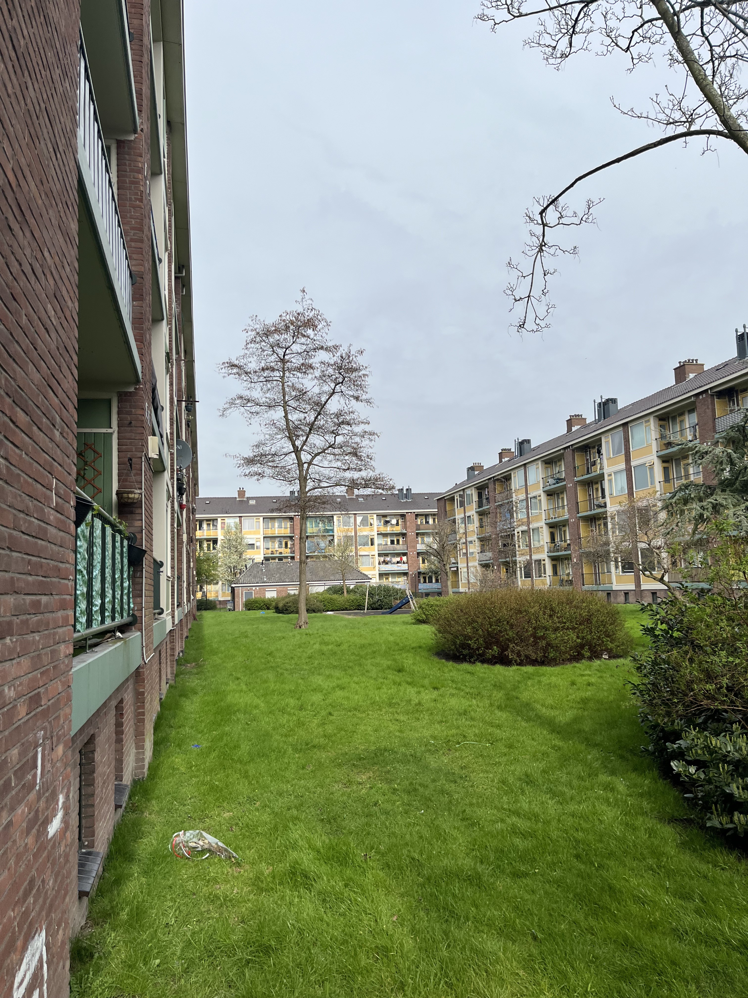 Regenbooglaan 25
