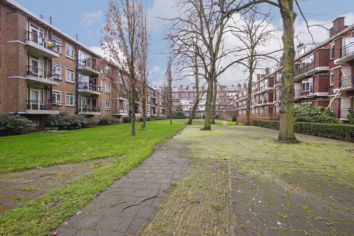 Van Ostadelaan 36