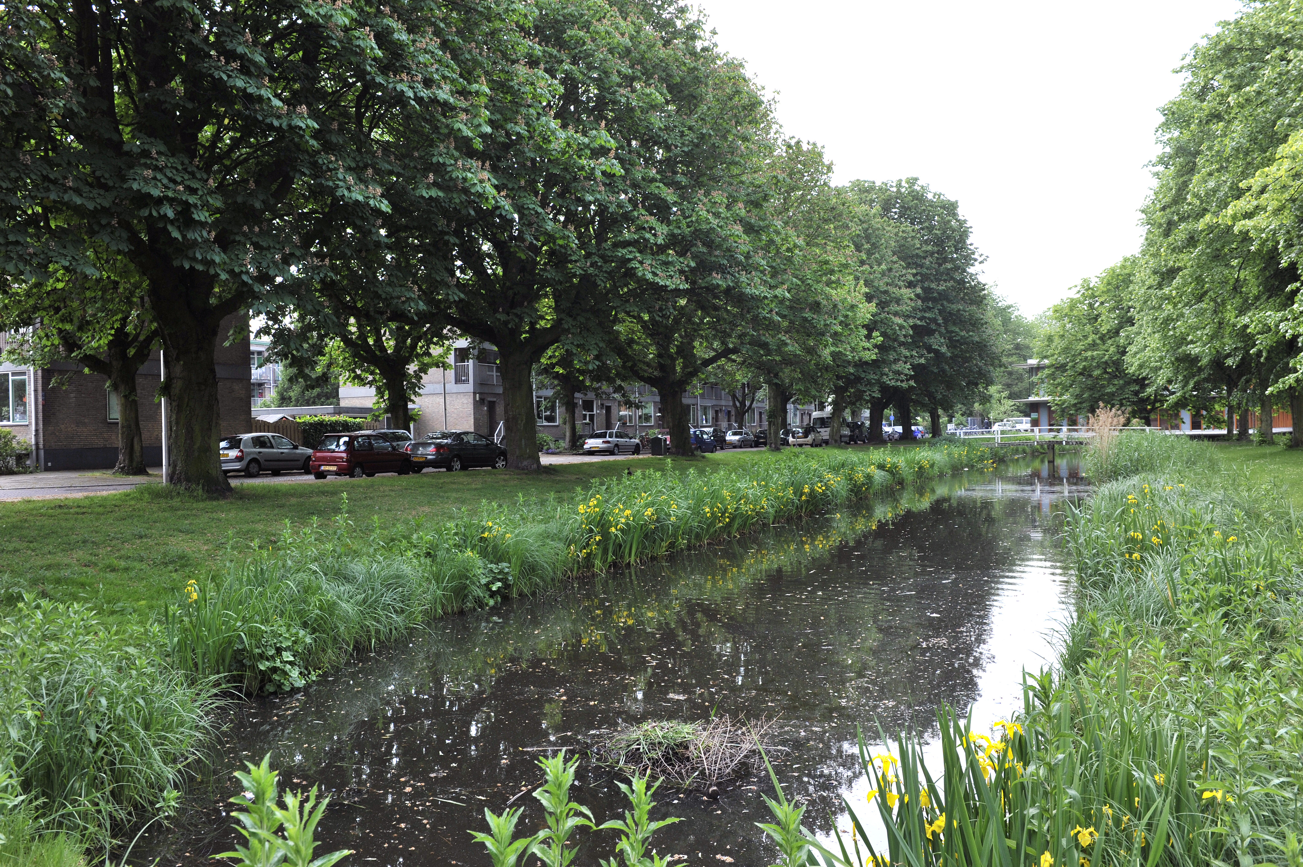Frank van Borselenstraat 60