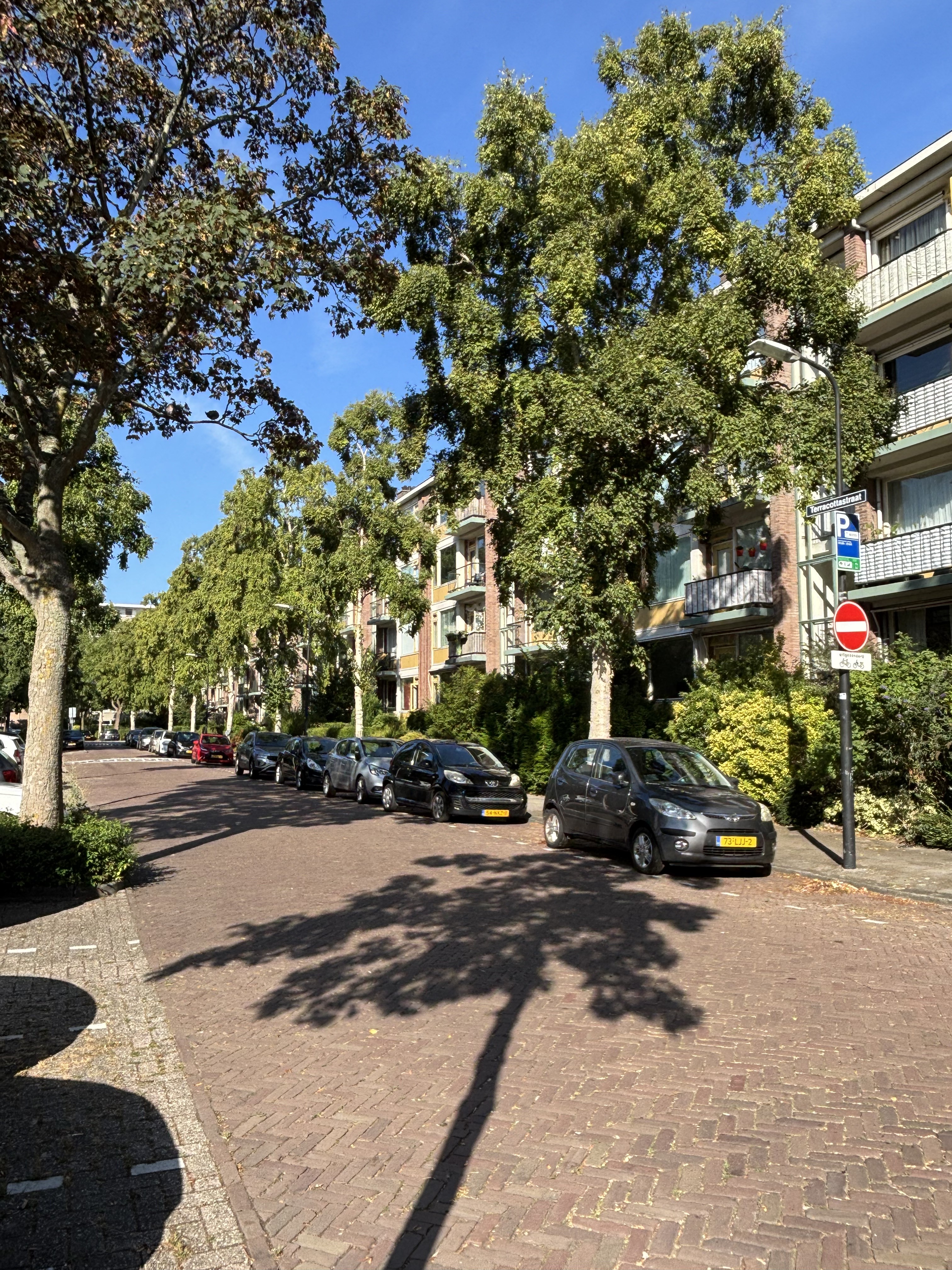 Terracottastraat 8