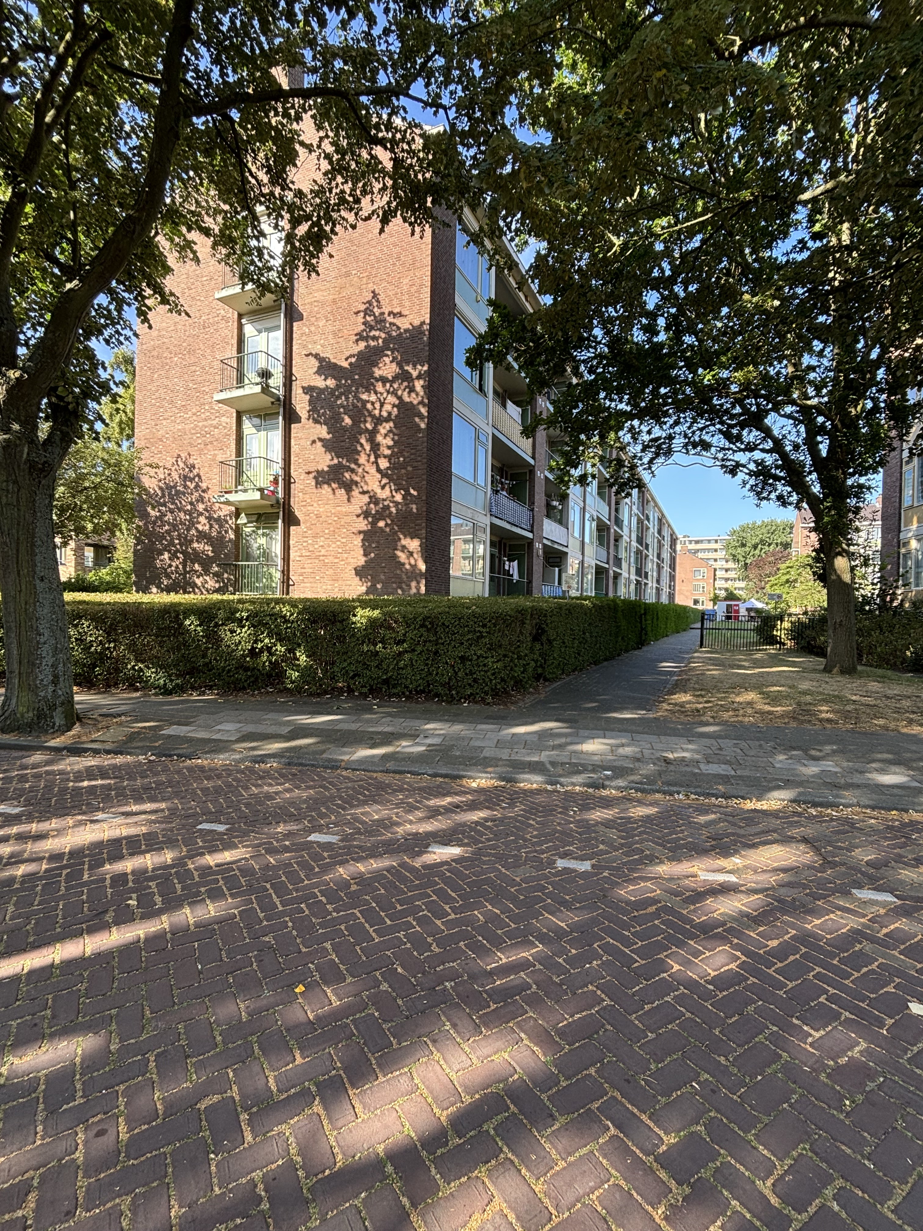 Terracottastraat 8