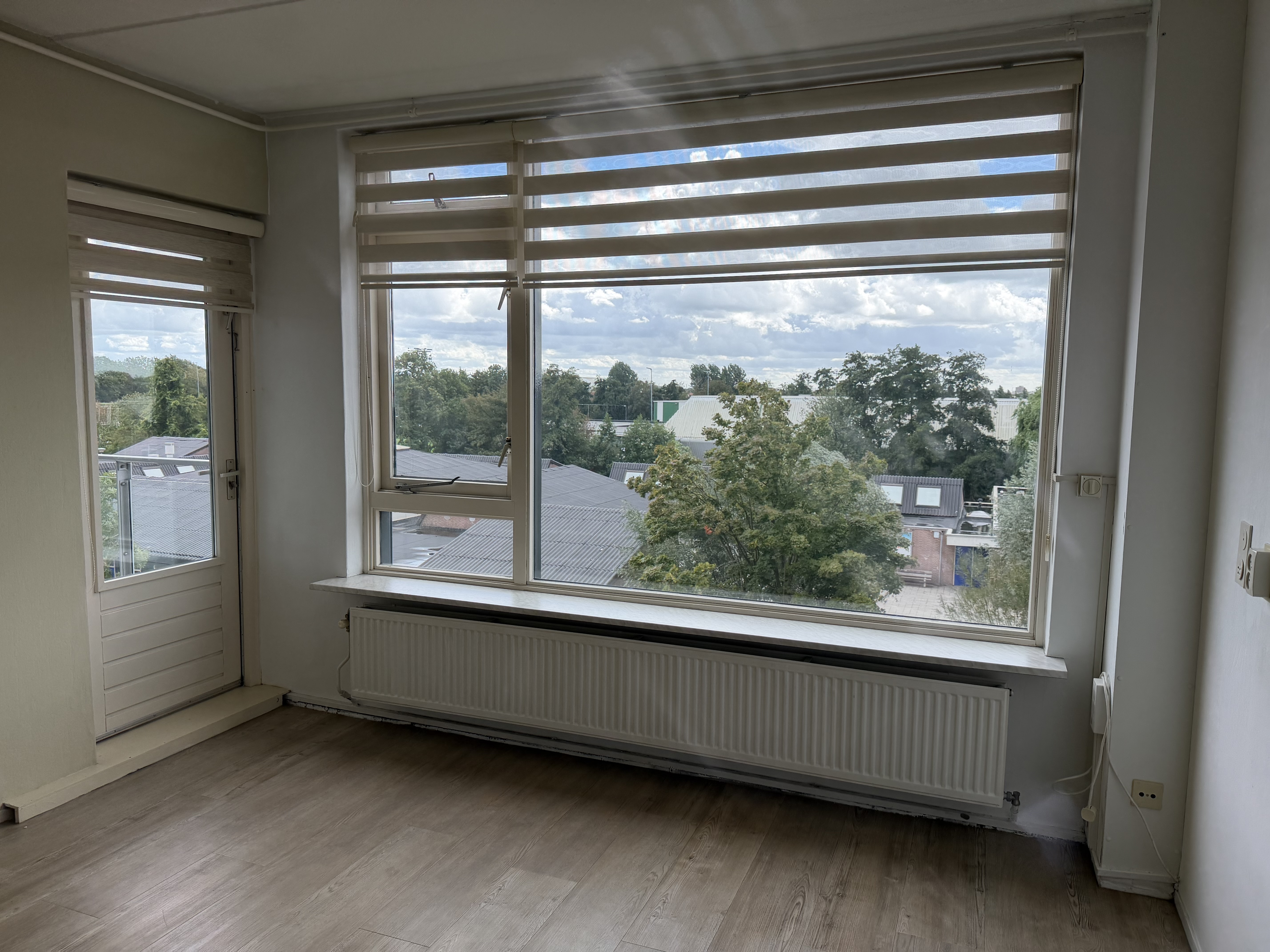 Gele Kwikstaart 52