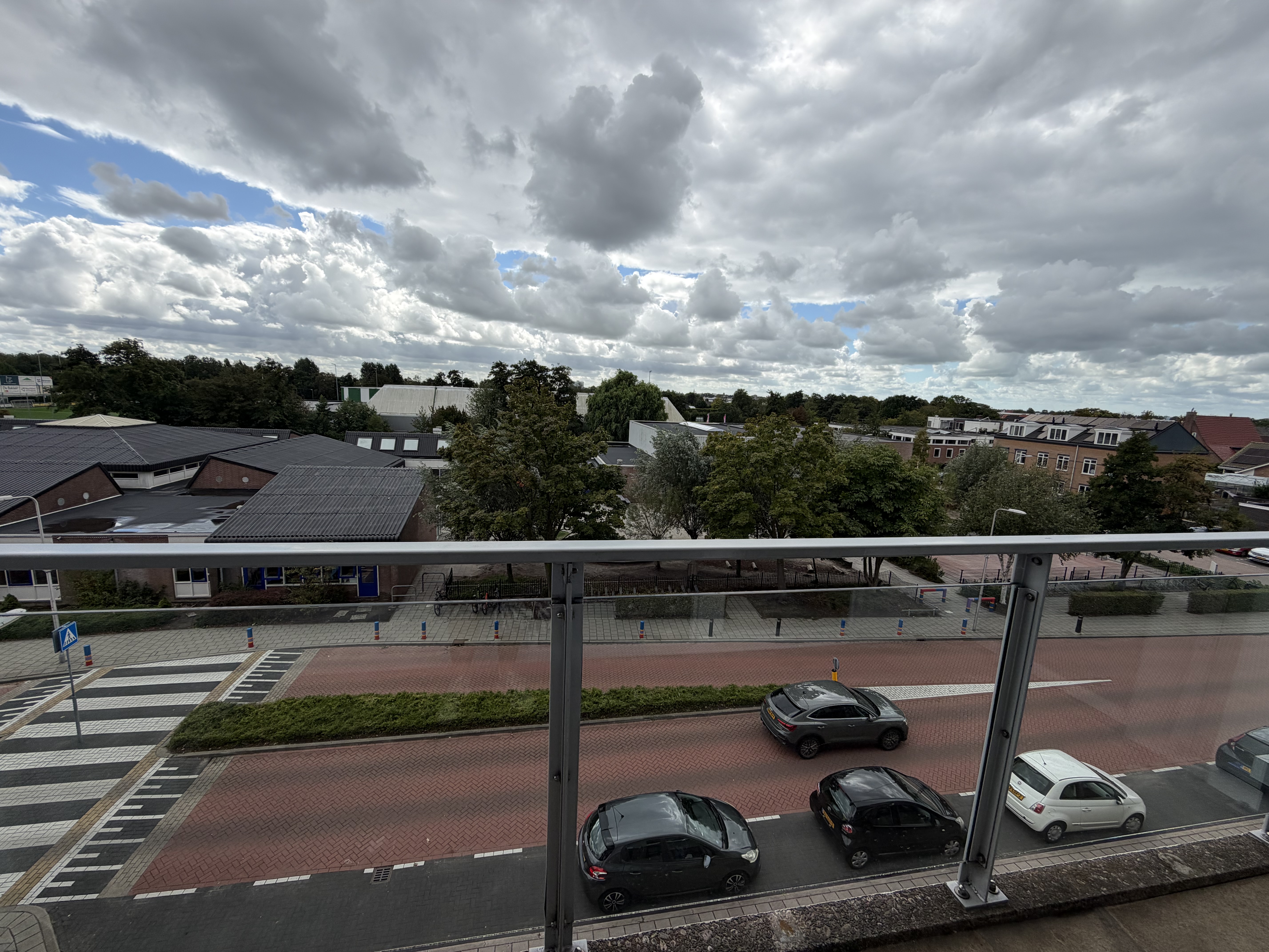 Gele Kwikstaart 52
