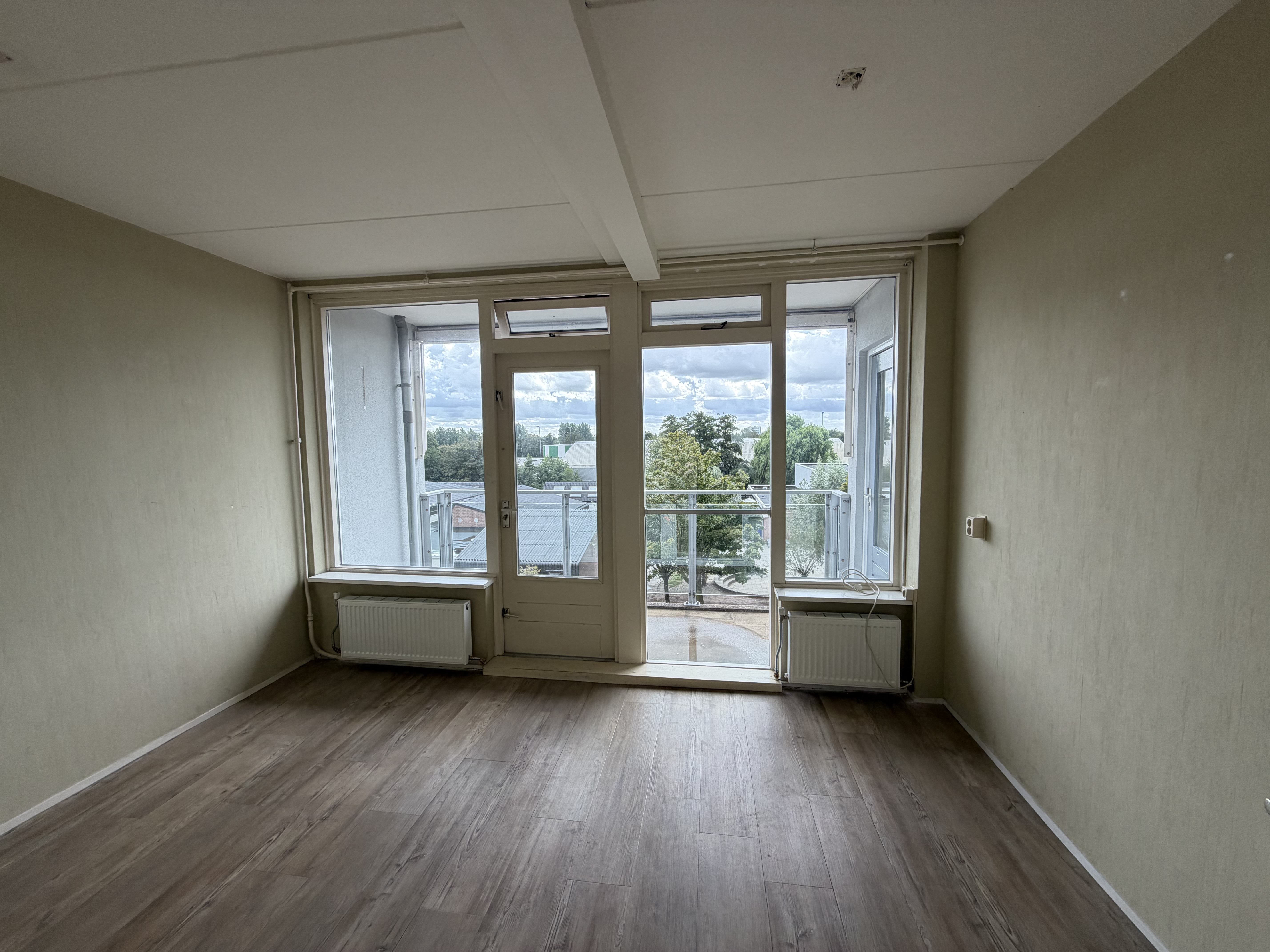 Gele Kwikstaart 52