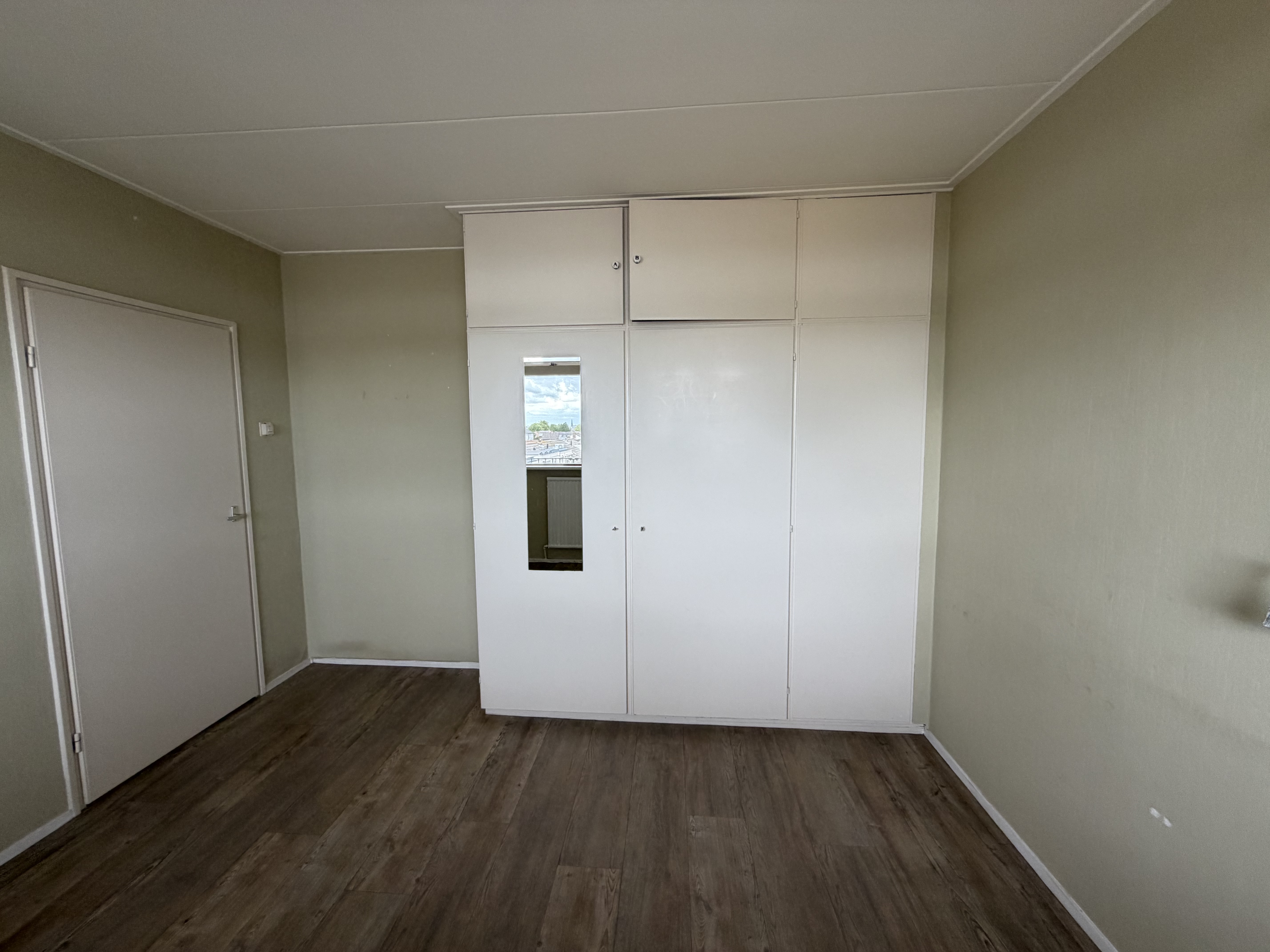 Gele Kwikstaart 52