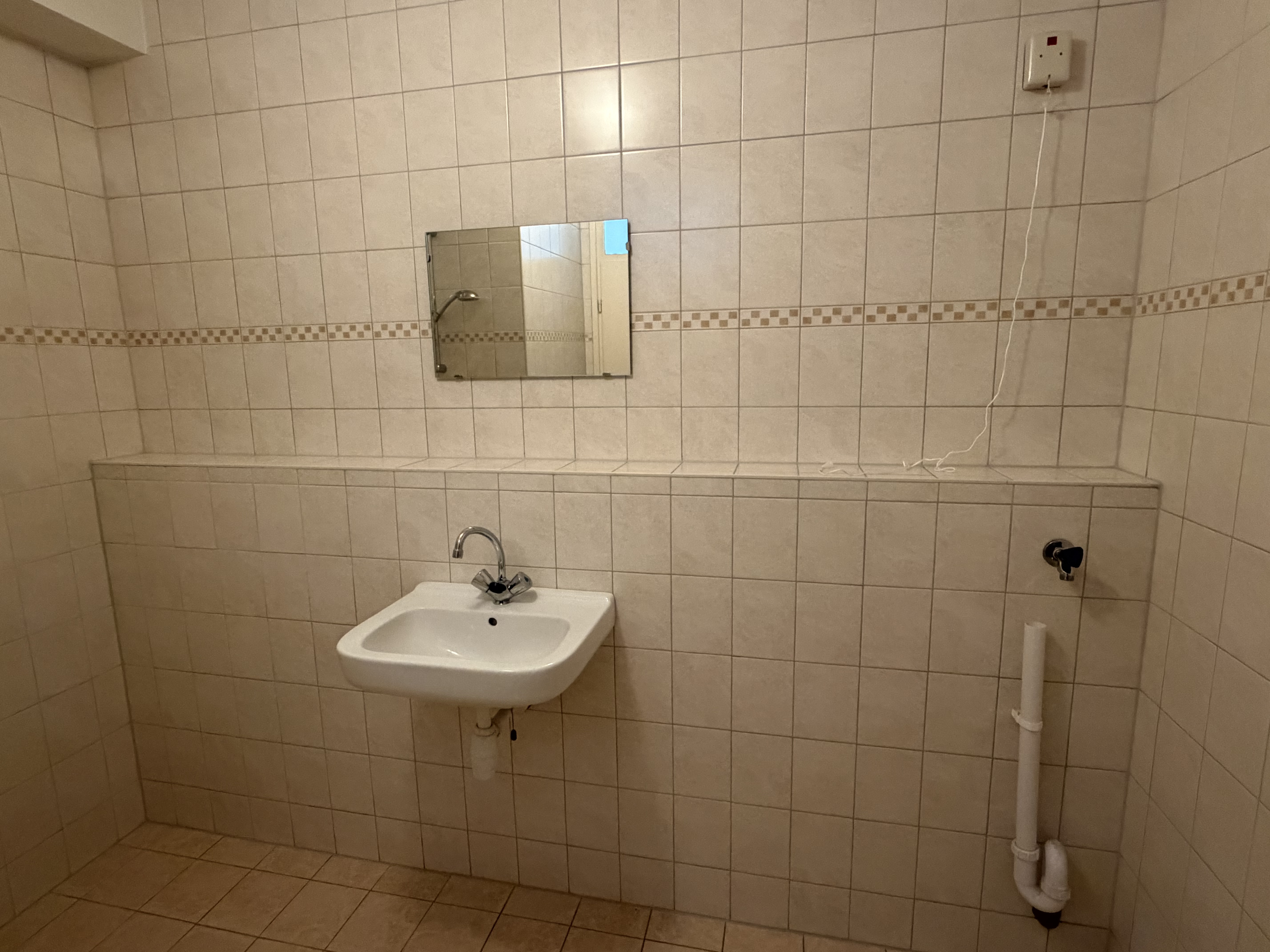 Gele Kwikstaart 52