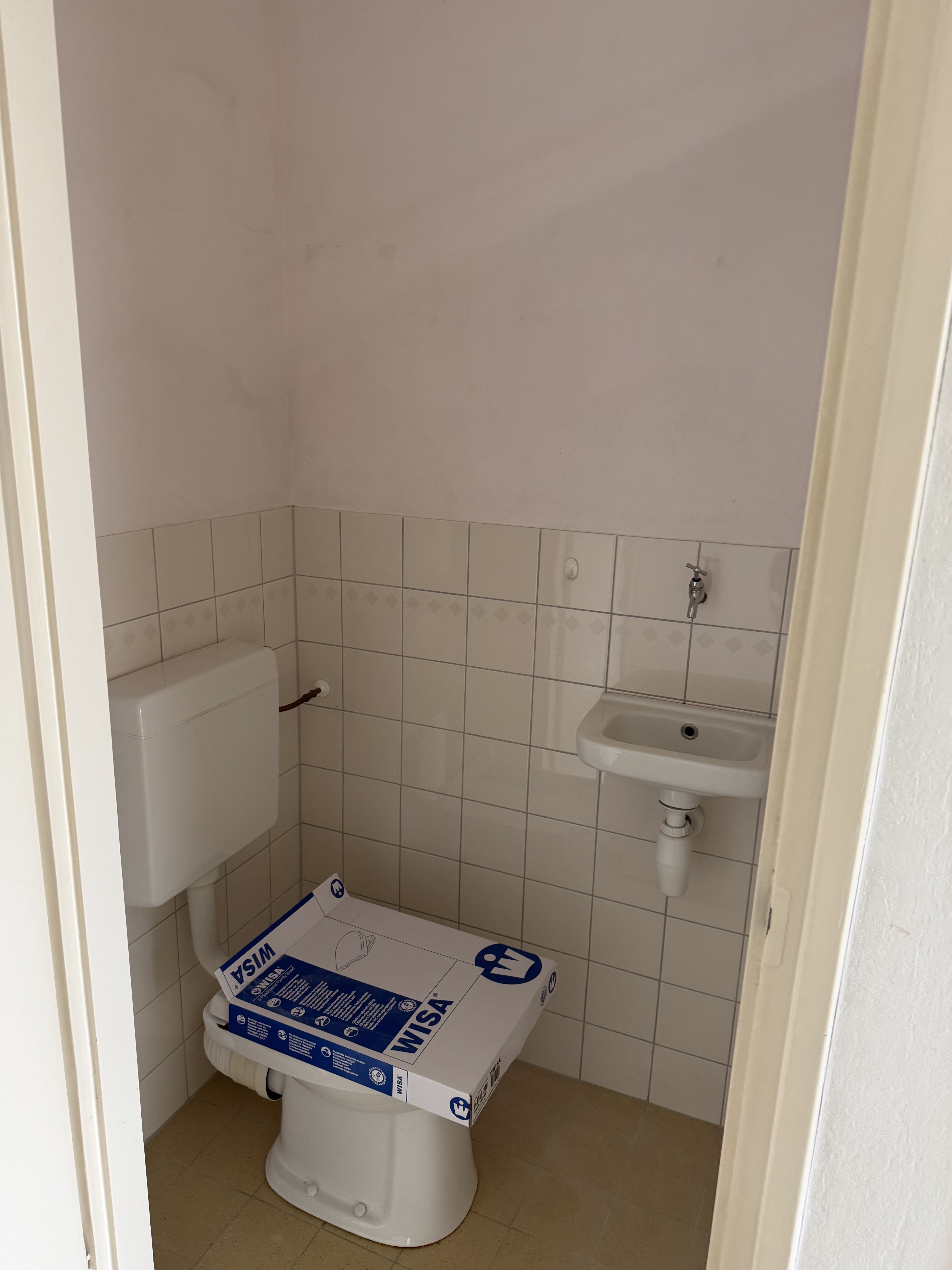 Gele Kwikstaart 52