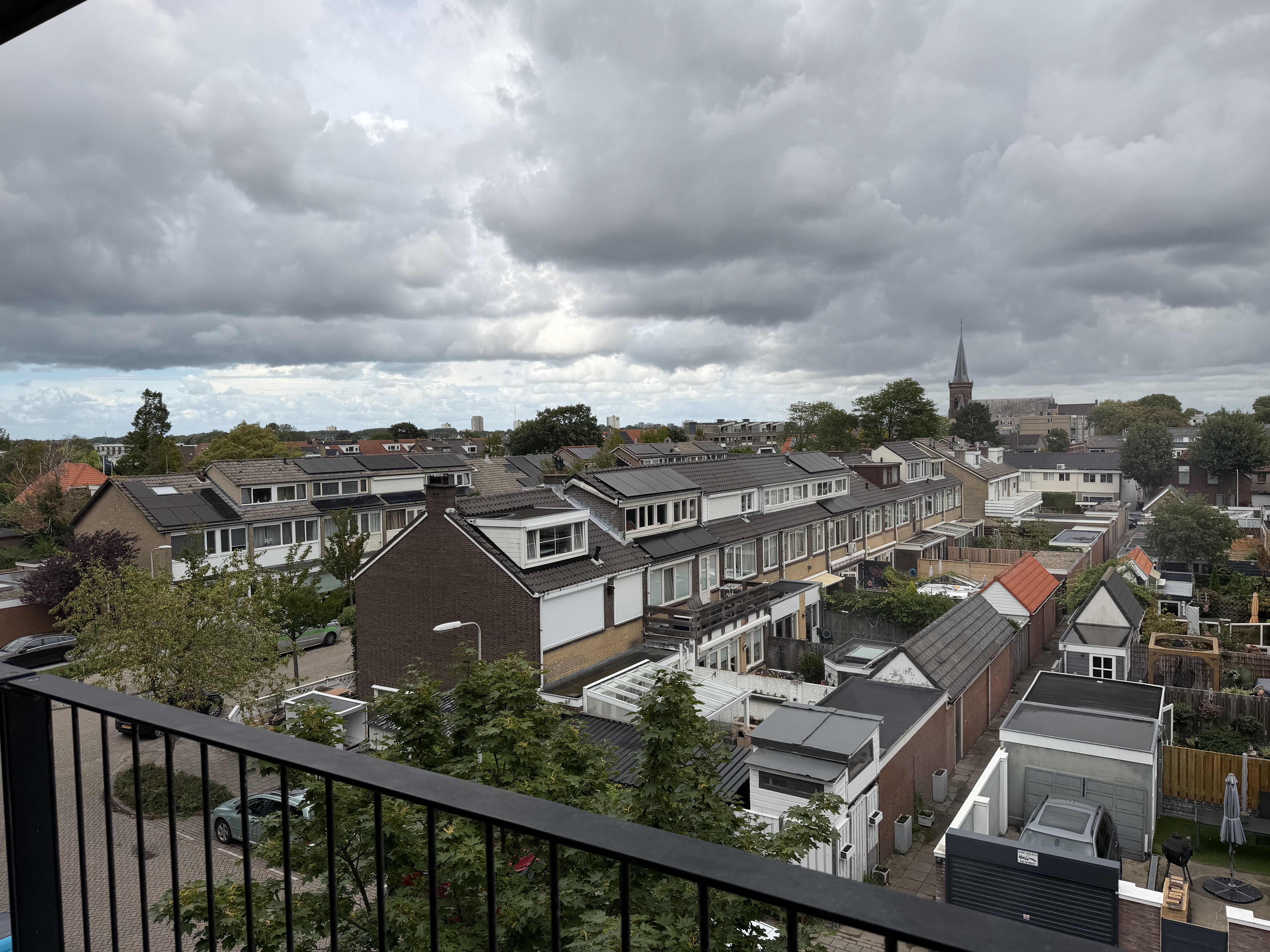 Gele Kwikstaart 52