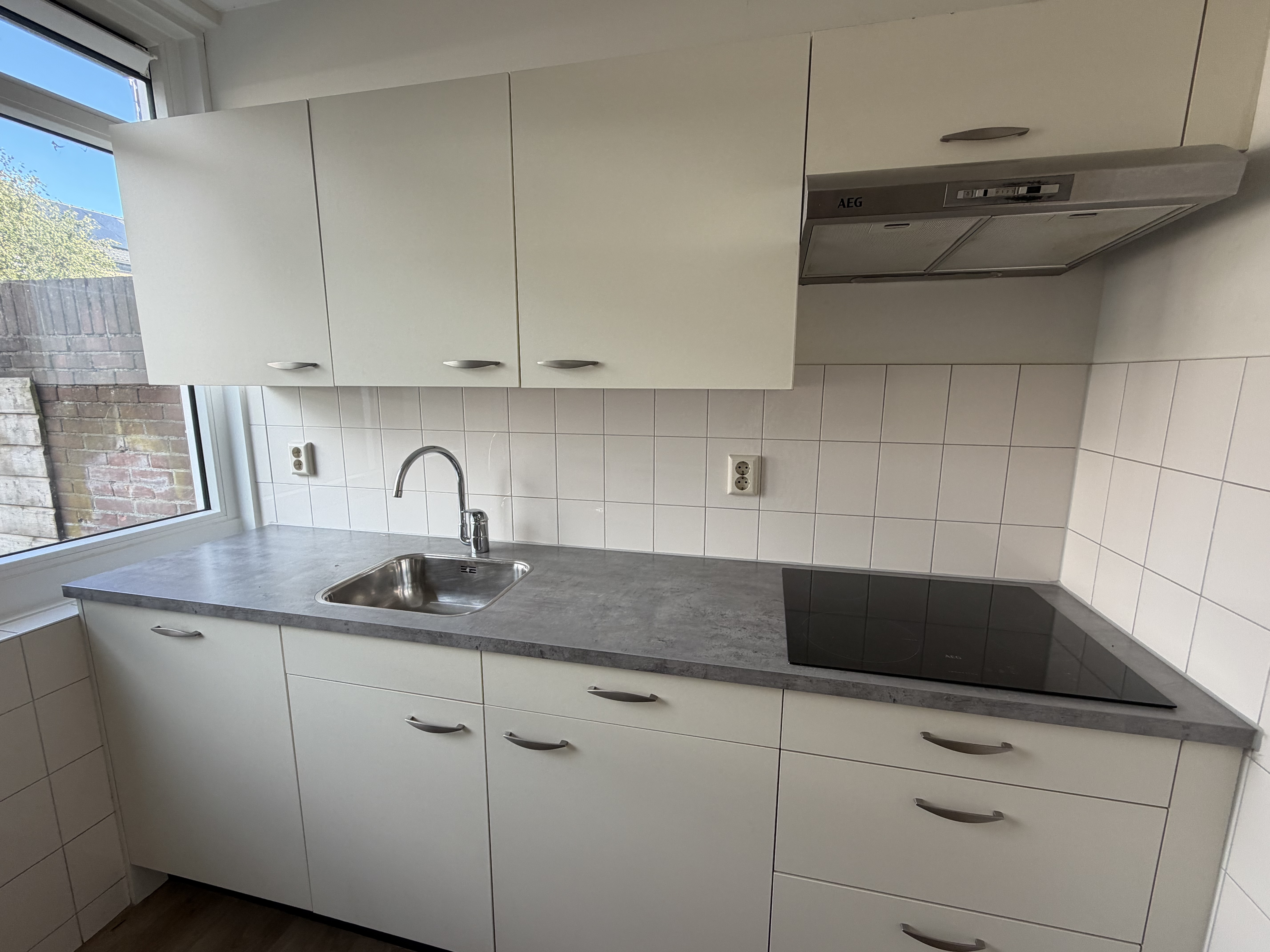 Leeuwerik 100