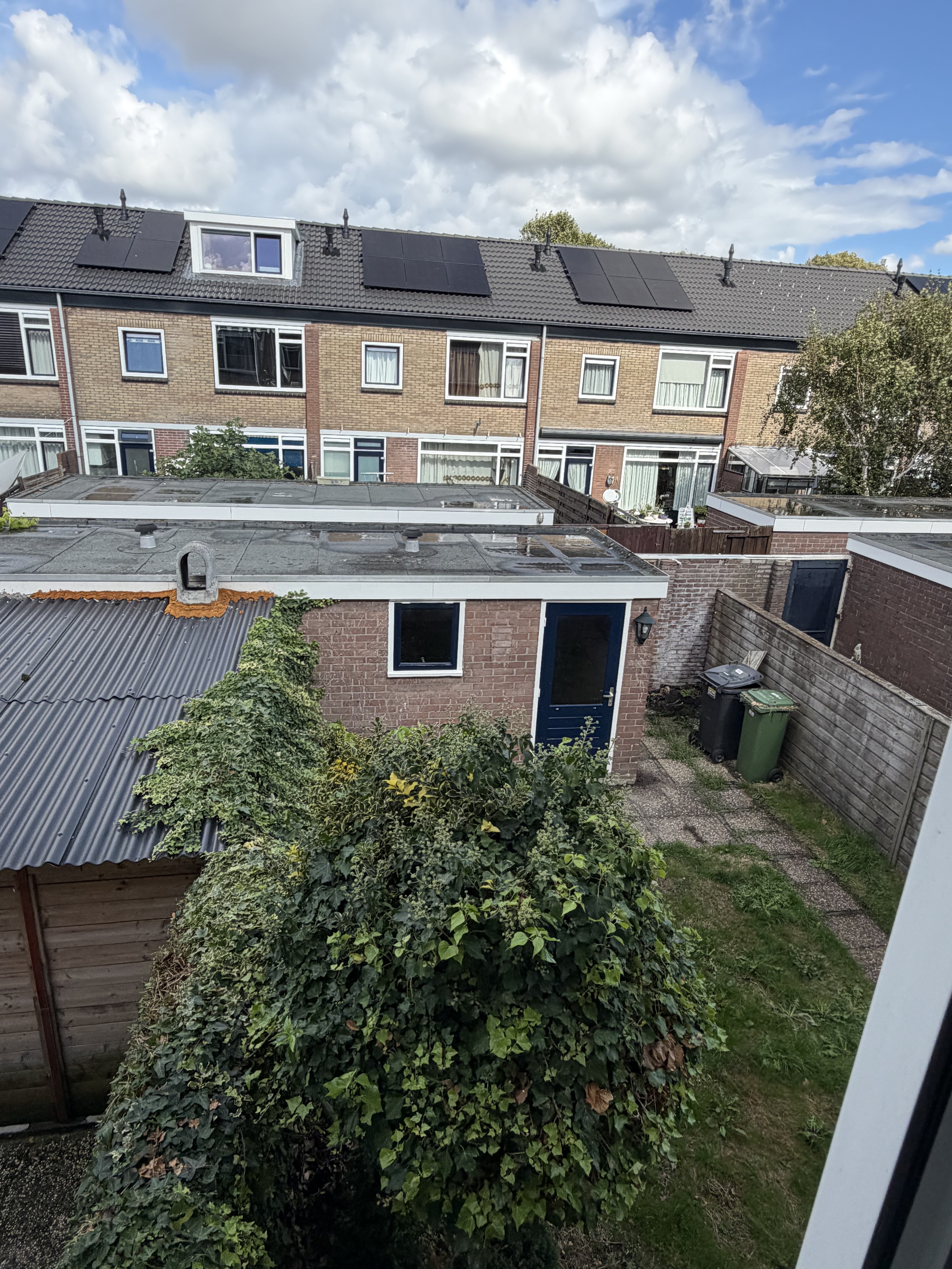 Leeuwerik 100