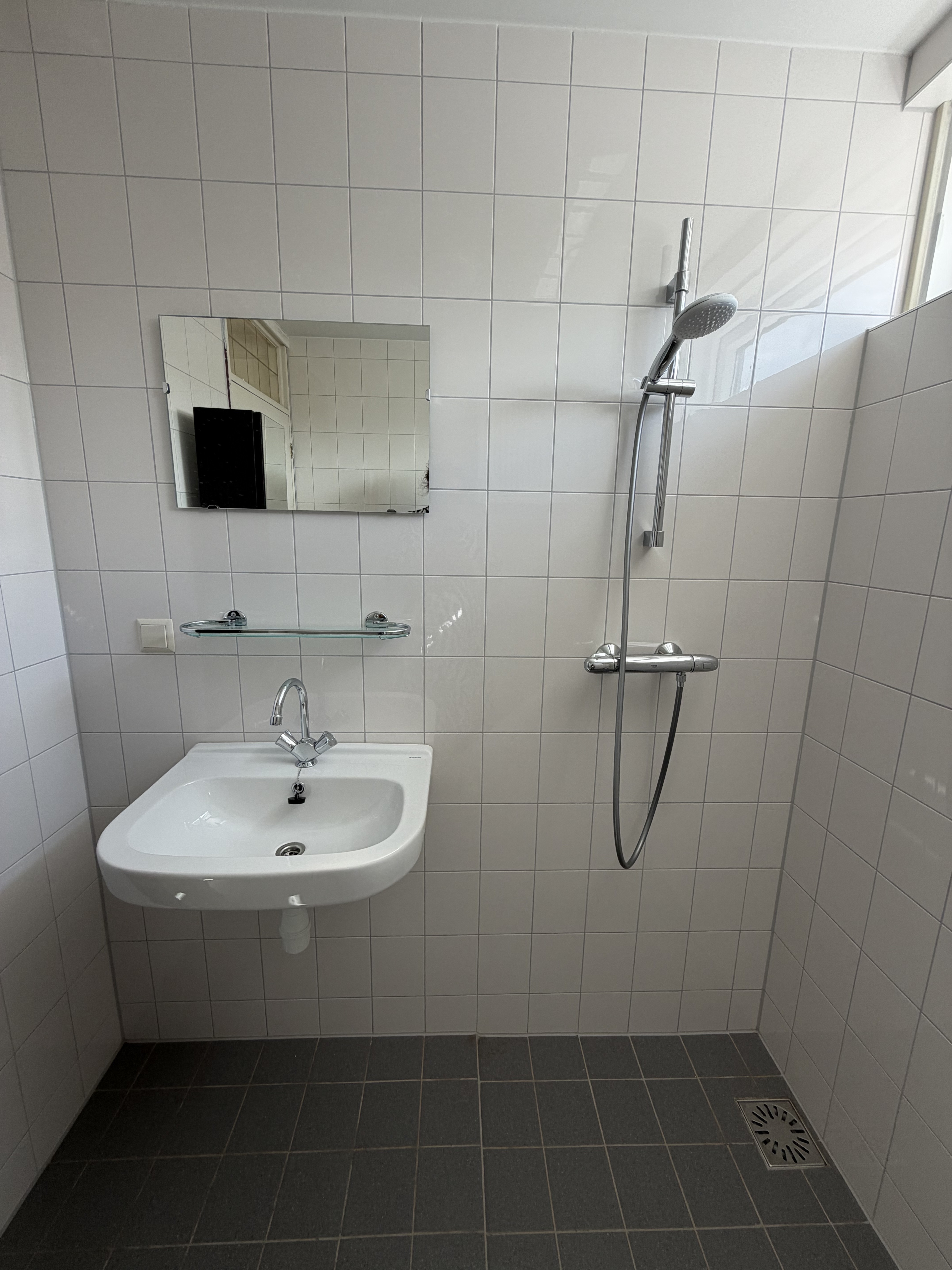 Leeuwerik 100
