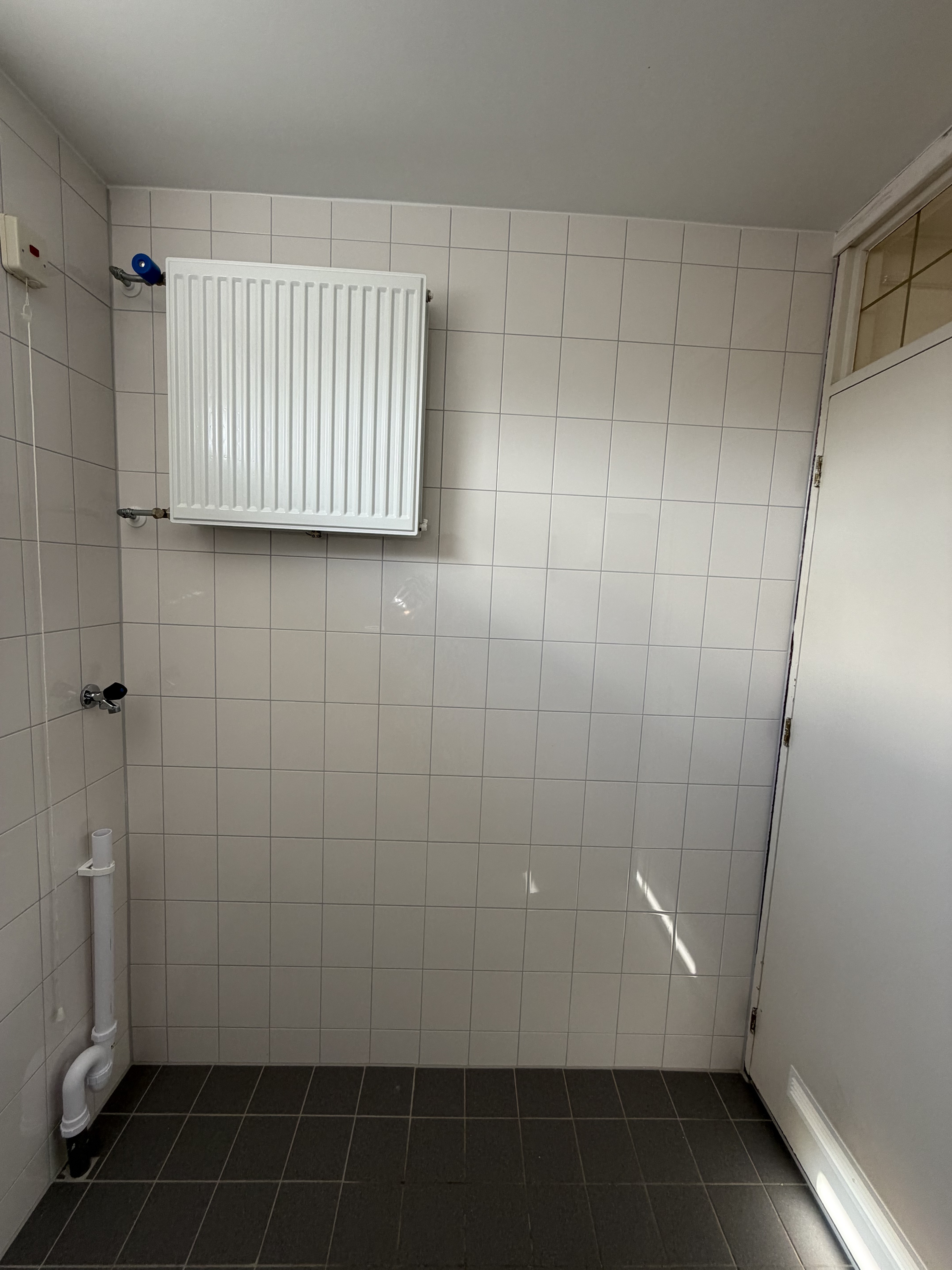 Leeuwerik 100