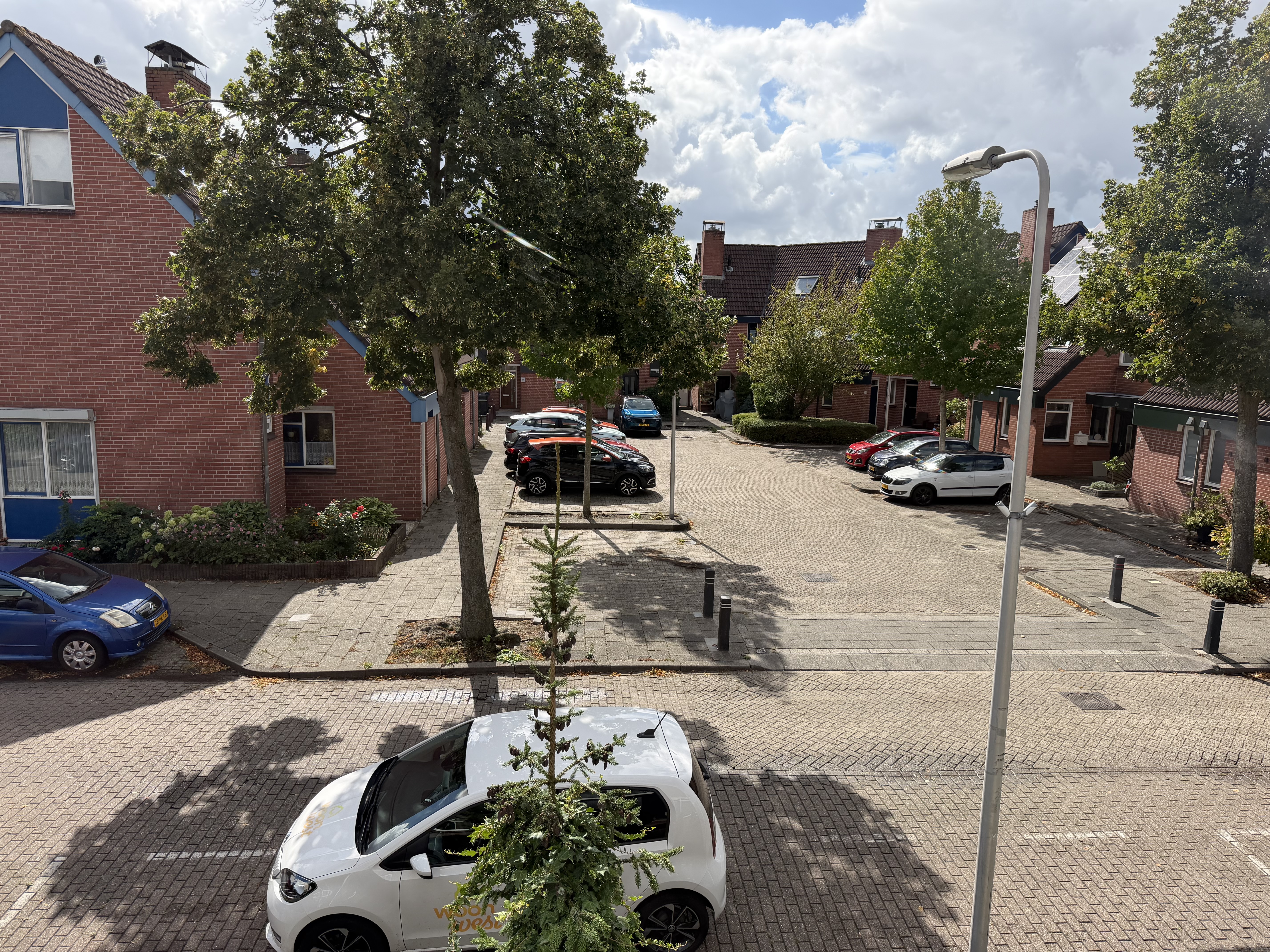 Leeuwerik 100