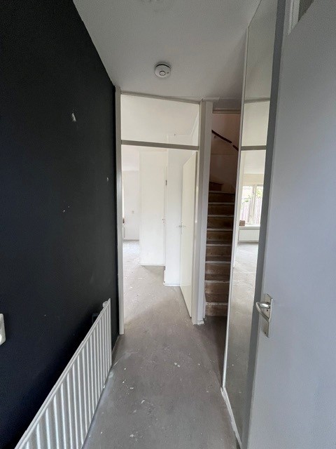 Breeveld 6