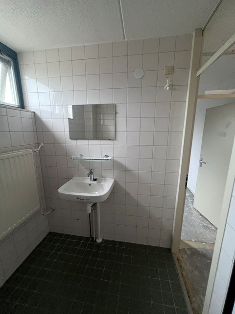 Breeveld 6