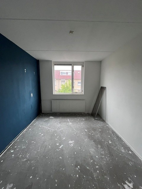 Breeveld 6