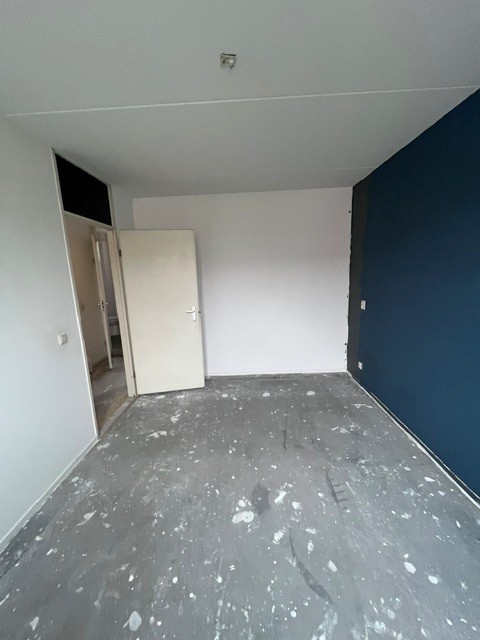Breeveld 6