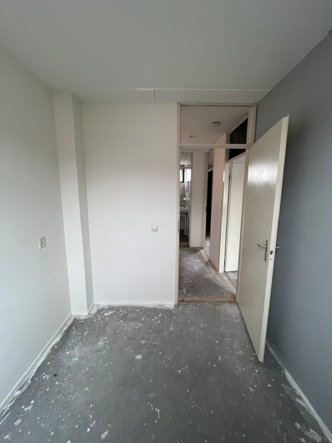 Breeveld 6