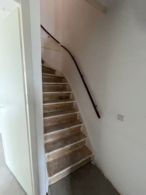 Breeveld 6
