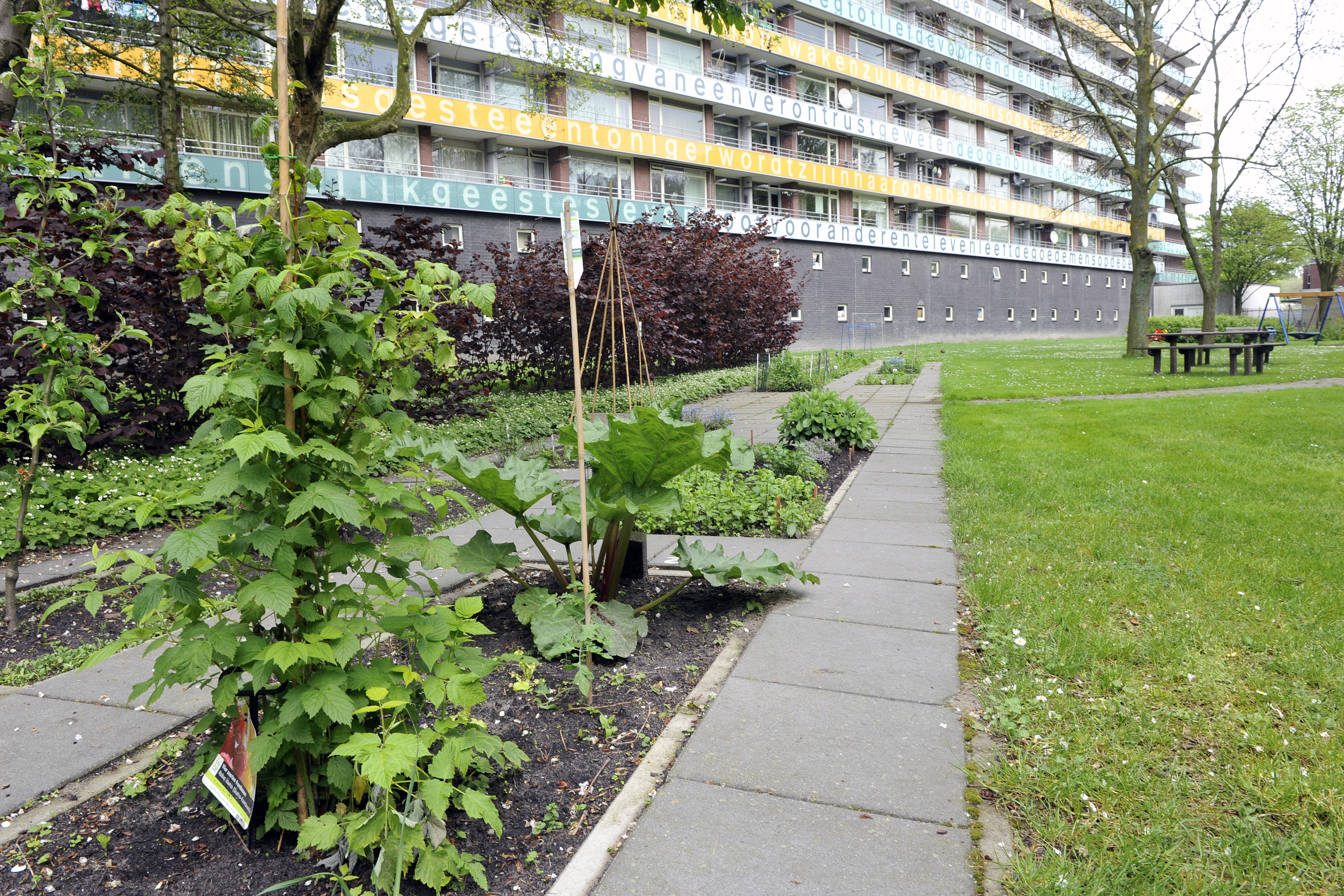 Dirk Costerplein 247