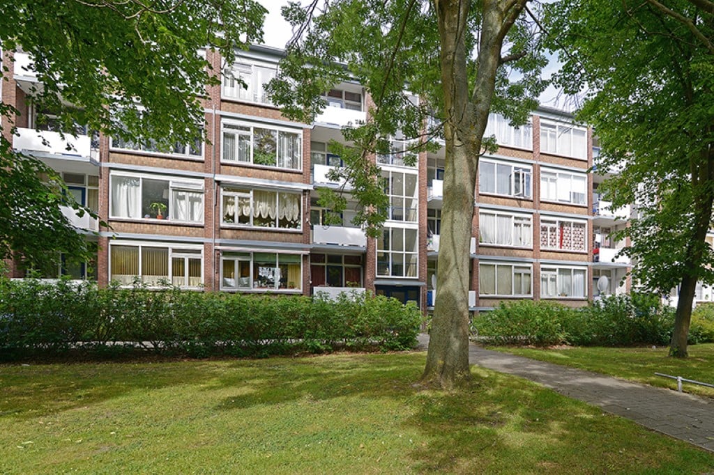 Ruimzicht 248